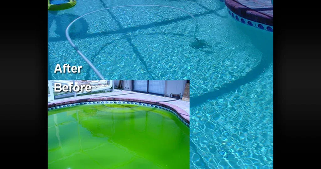 pool-cleaning-company-7.jpg