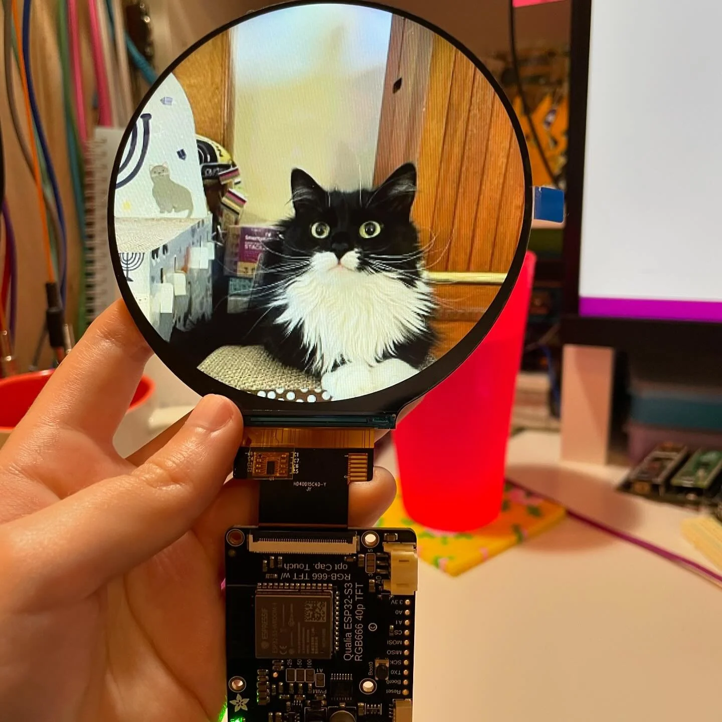 Working on a project that uses the new itsaSnap app to send data from iOS to your Adafruit IO feeds. In this example, an apple shortcut is used to encode the photo &amp; send it to an IO feed. The qualia s3 grabs the feed, decodes the image and displ