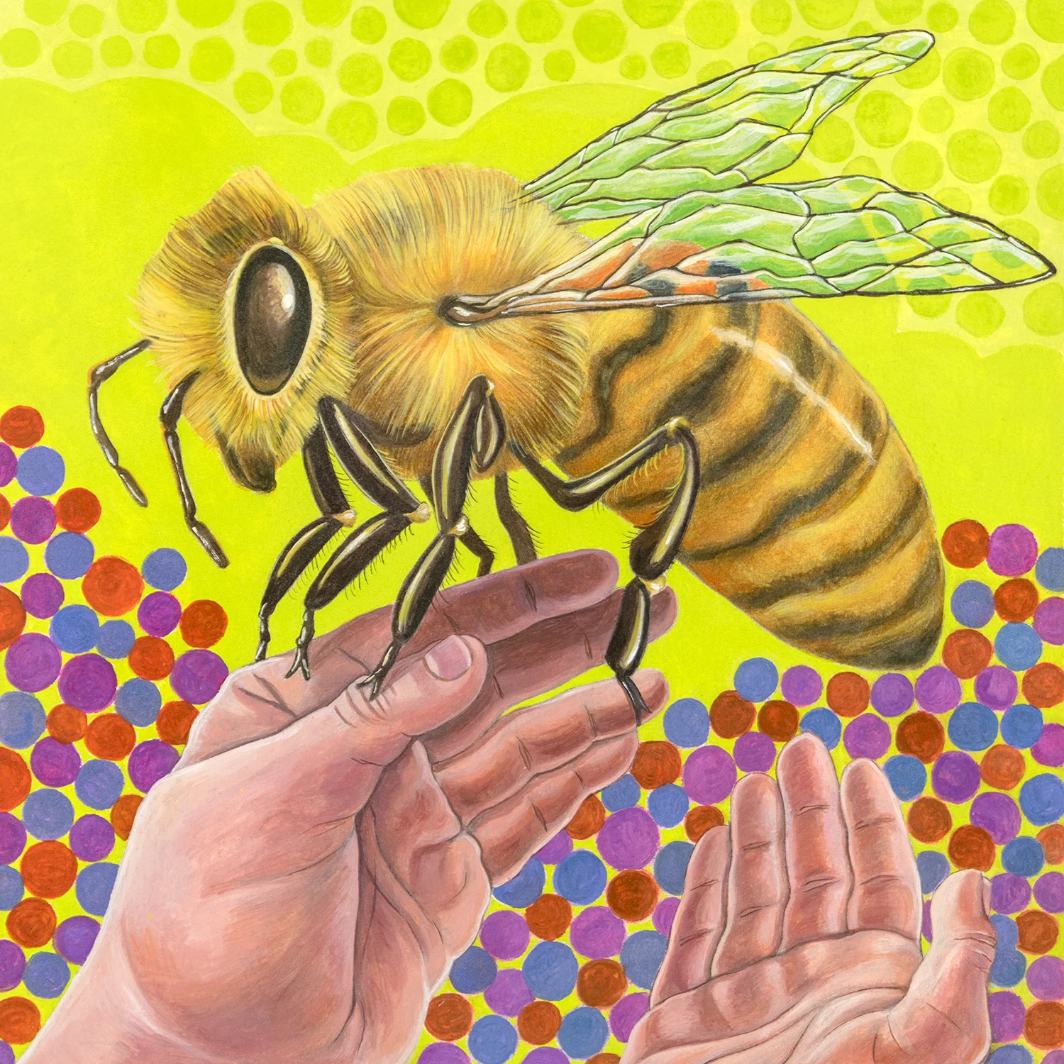 image_honey_bee_hand_1500.jpg