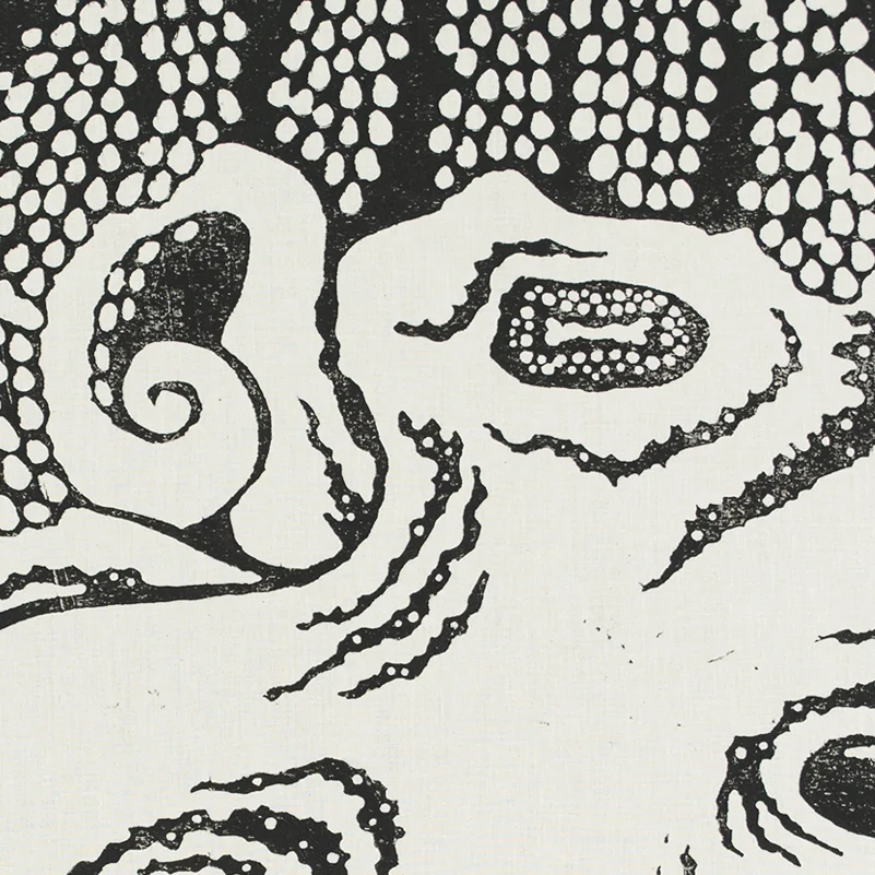 image_mother_octopus_eggs_preview.jpg