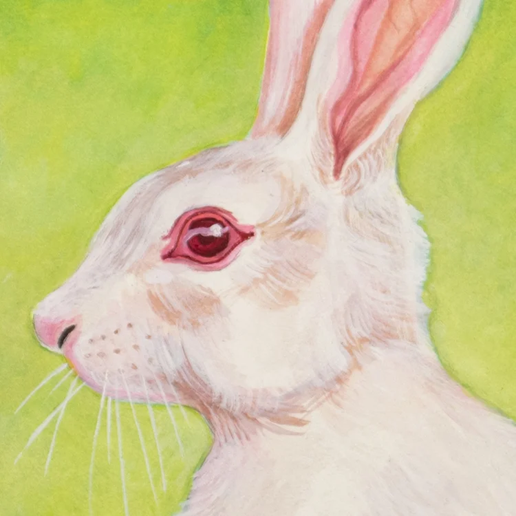 image_rabbit_revelers_snake_beer_teacup_preview.jpg