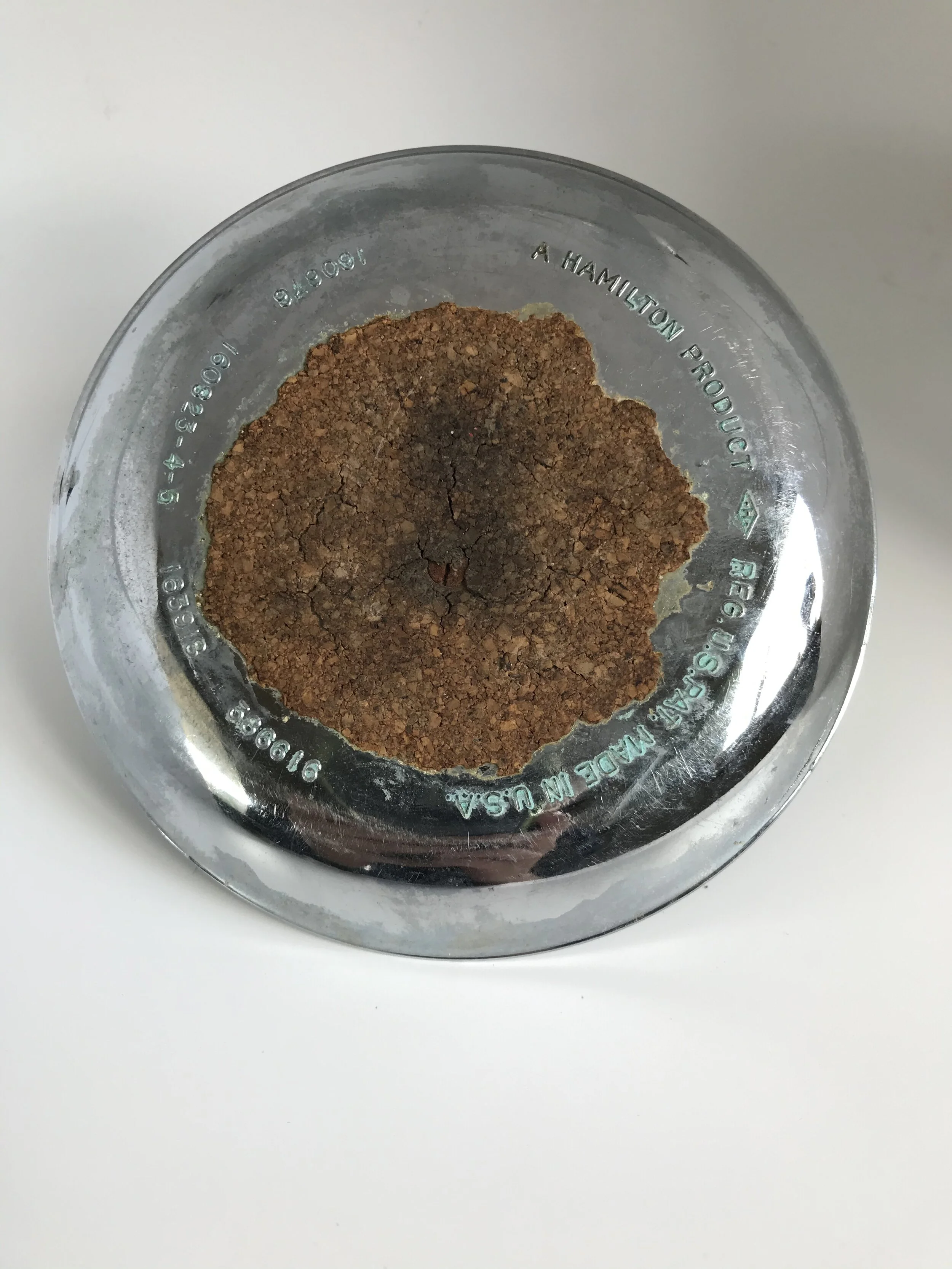 1BF29BF5-7887-4FB4-904E-03392116DBE4