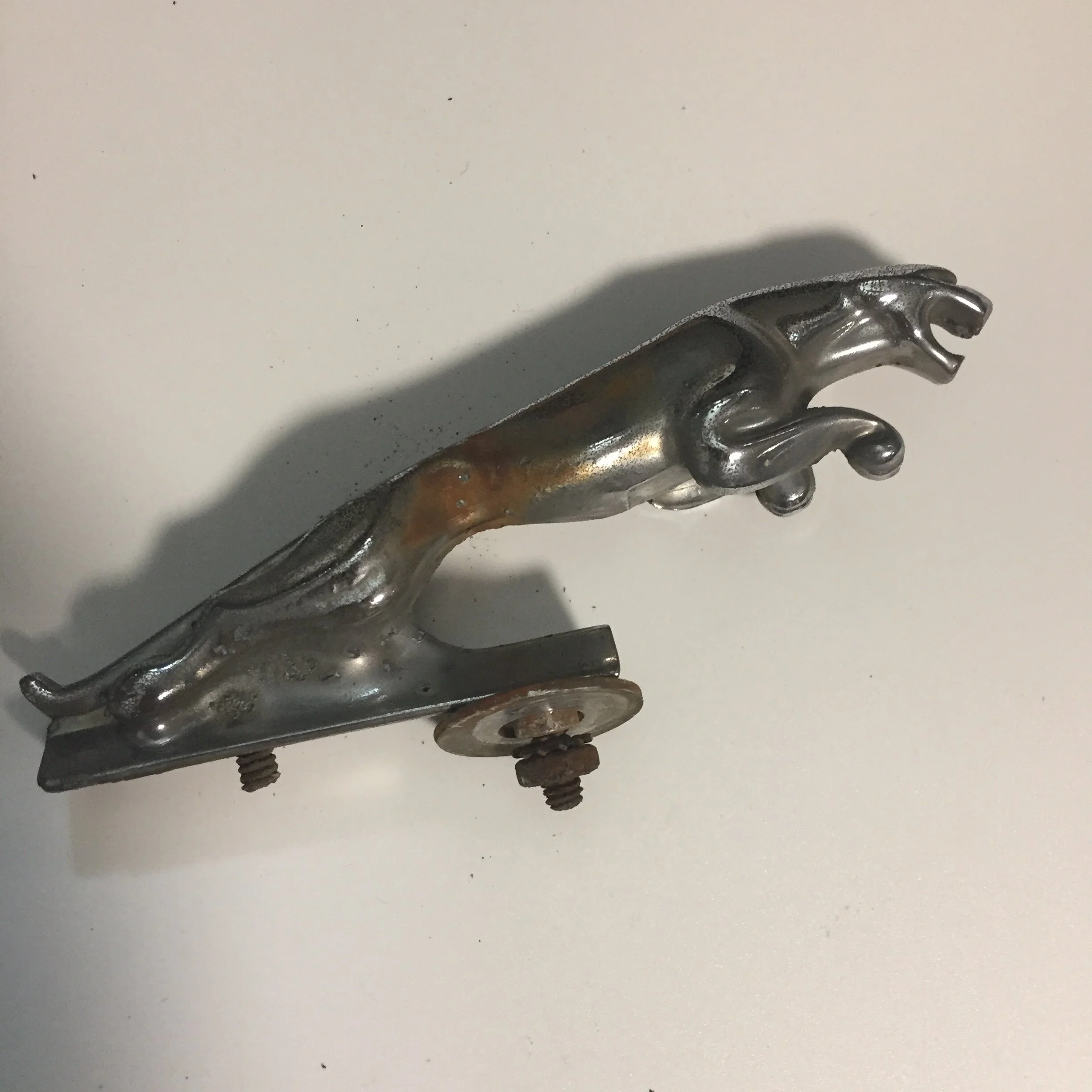 A7EA55DC-4166-4F05-8B59-F412A3C48E3C