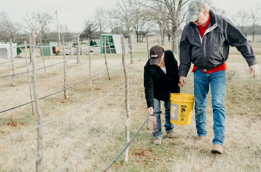 shtf-grapevines.jpg