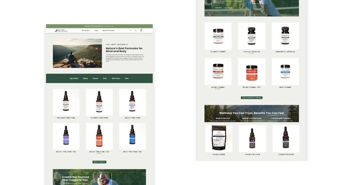 TMG_NCWebsiteUpdate_5.jpg