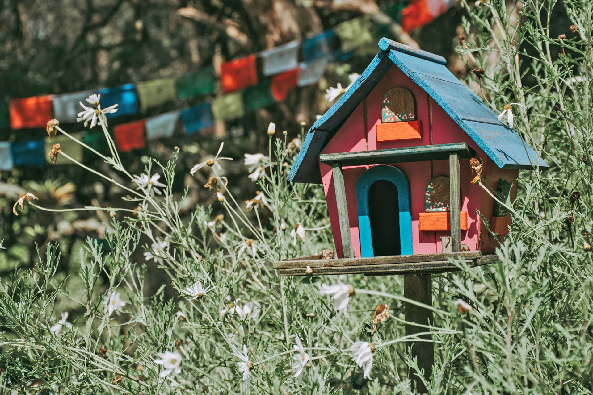 Tarjeta de regalo Unidos por el Mundo