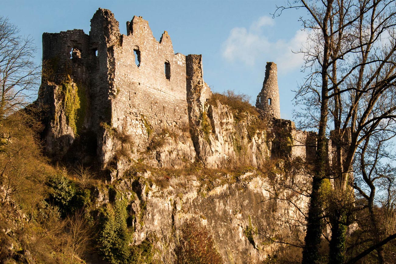 domaine-de-ronchinne-ruines-chateau-fort-de-montaigle.jpg