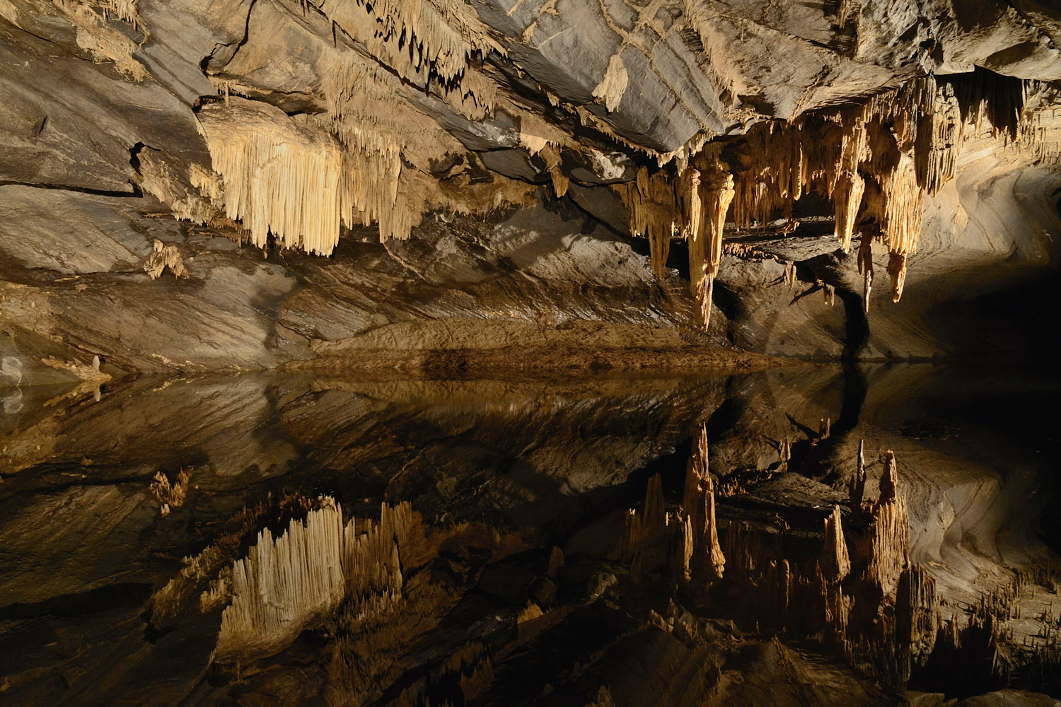 domaine-de-ronchinne-domaine-des-grottes-de-han.jpg