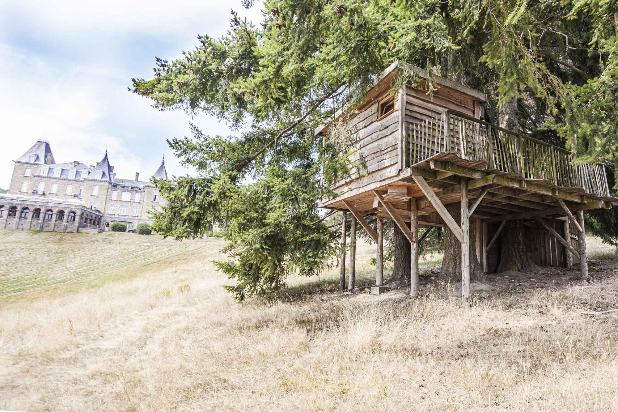 boomhut in de bomen belgië