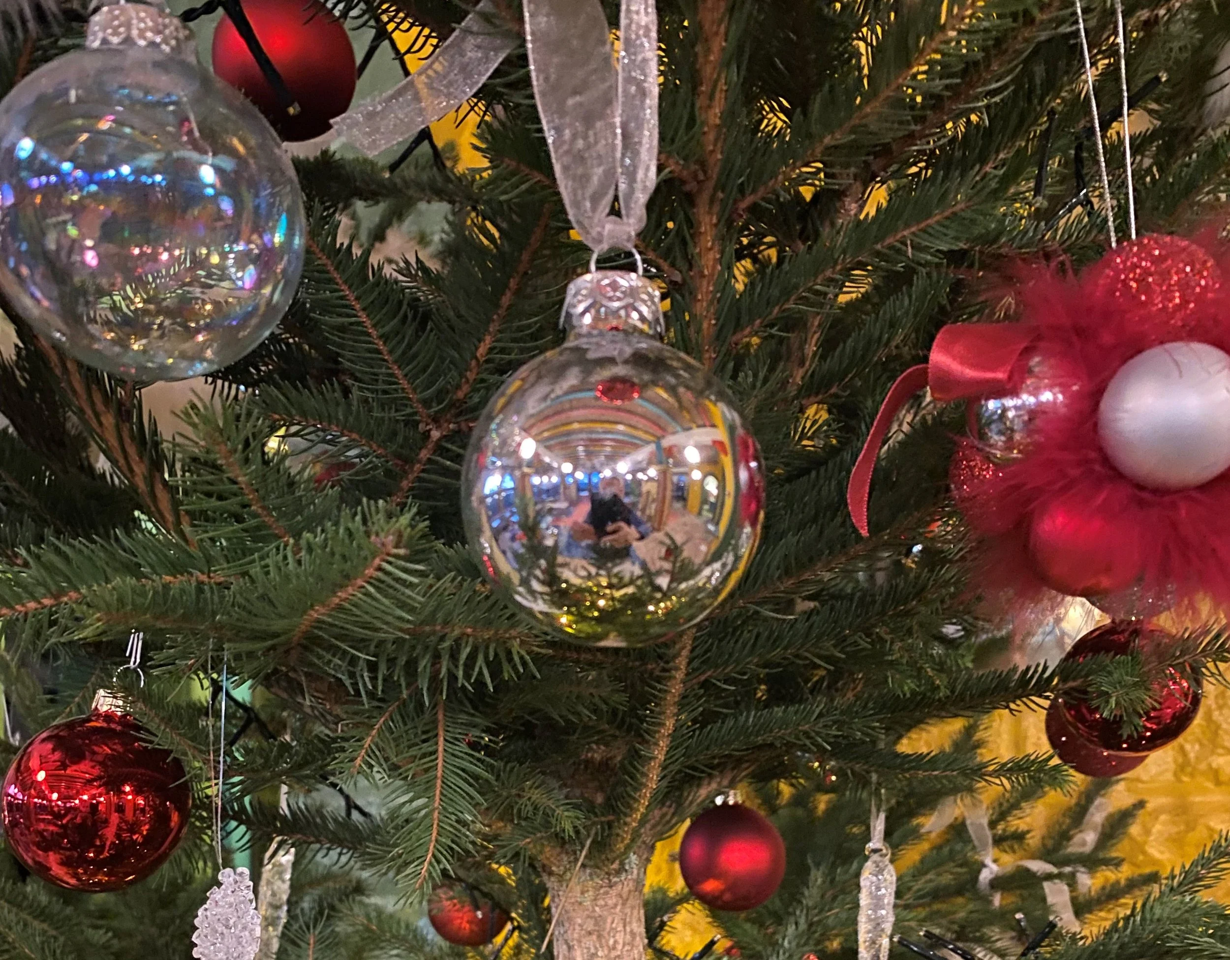 Vivez la magie de Noël: réservez votre expérience festive