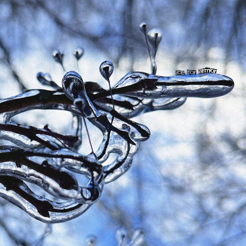 ice for armor - @sleepingthrusummer
Produced / Mixed / Mastered by 🙋🏻&zwj;♂️