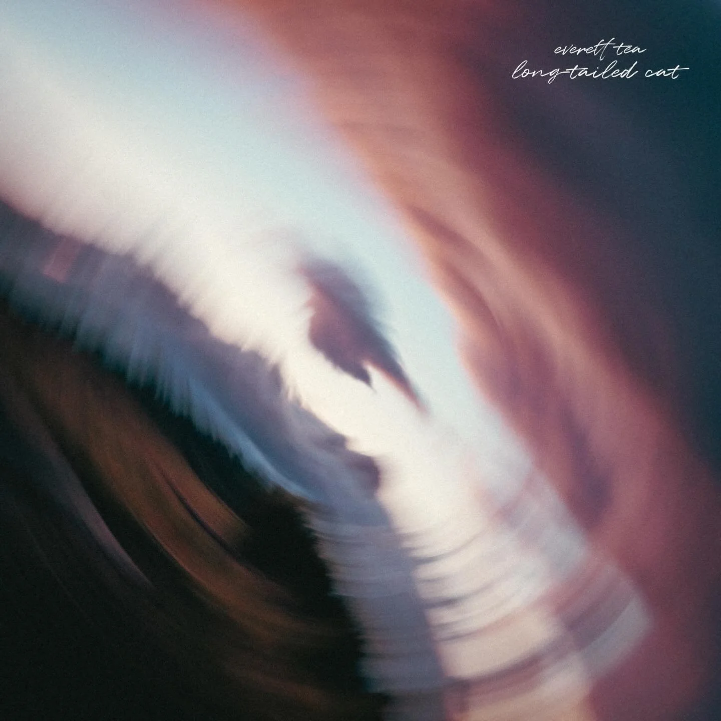 long-tailed cat - @everetttea 
Produced / Mixed / Mastered by🙋🏻&zwj;♂️
Bass and guitar engineering by @hayden.devore