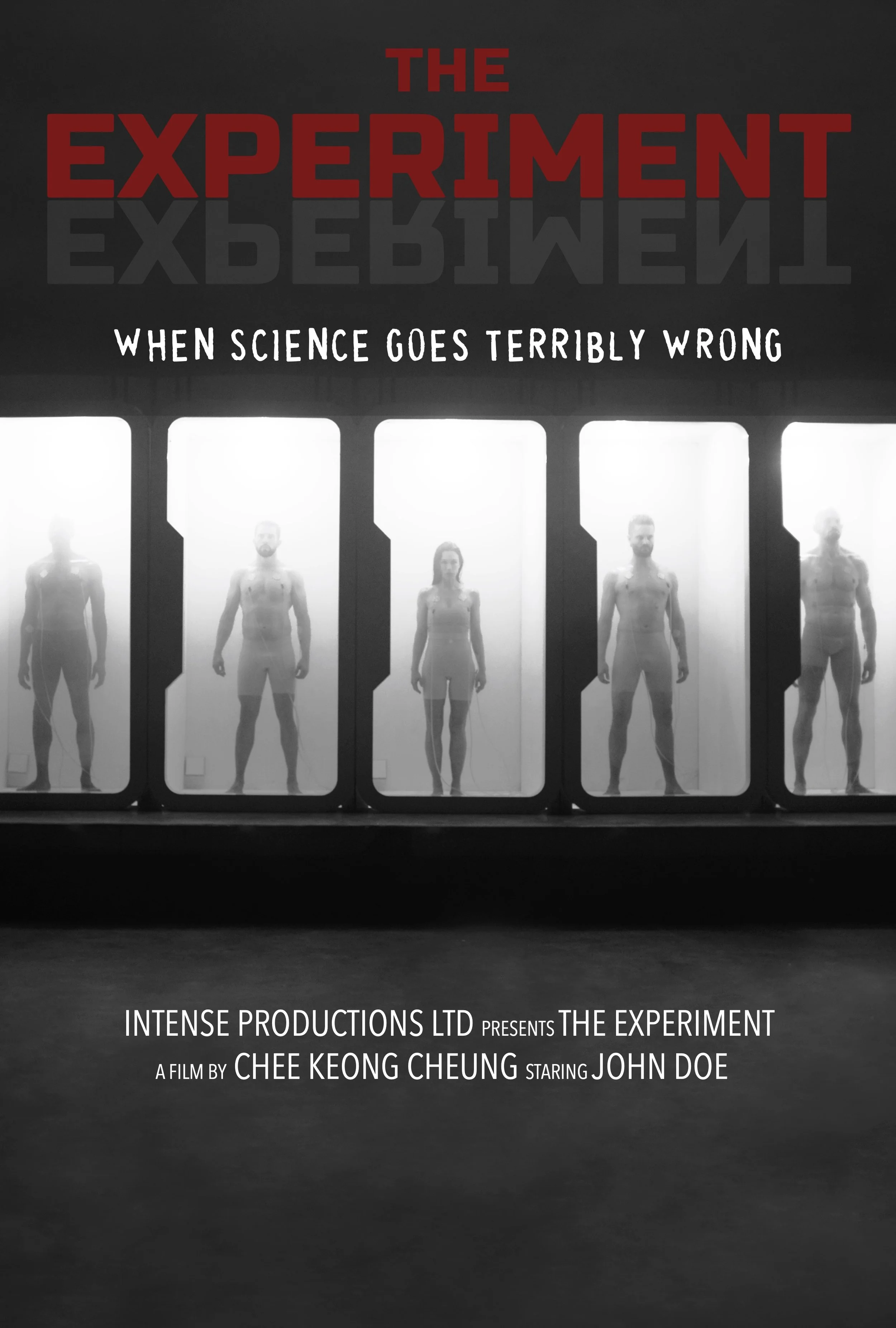 The Experiment - Poster - 2592 x 3840 - DIGITAL-B&W-V2.jpg