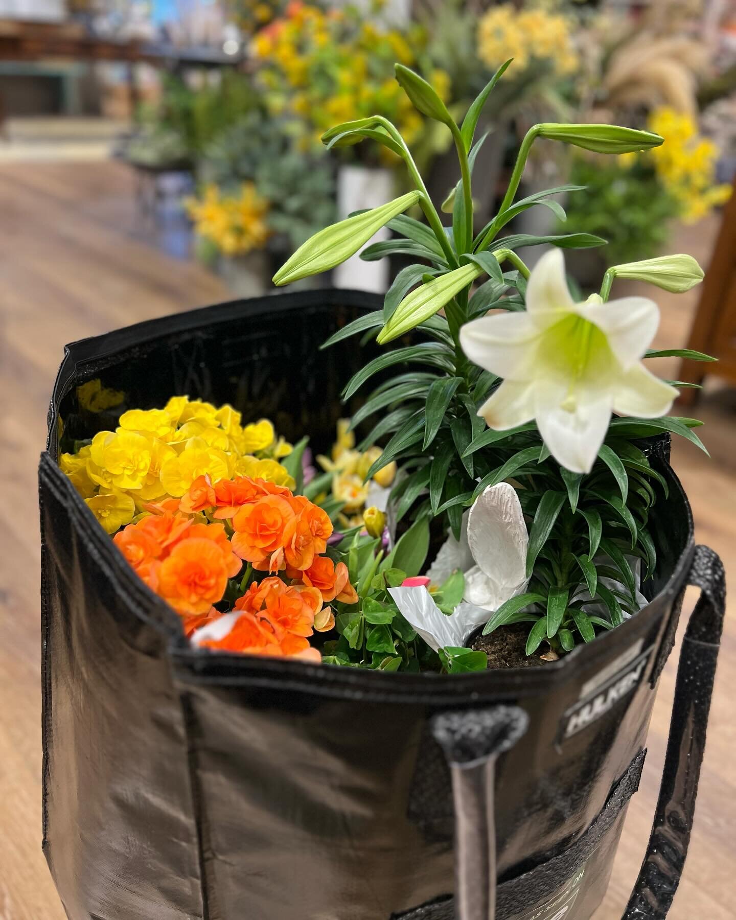 We&rsquo;ve packed up some fun ideas for tomorrow&rsquo;s episode of @purenebraska !

📺 Tune in to @1011news Tuesday morning at 9am as we share some easy Easter table decor tips with our friend, @tarynvanderford