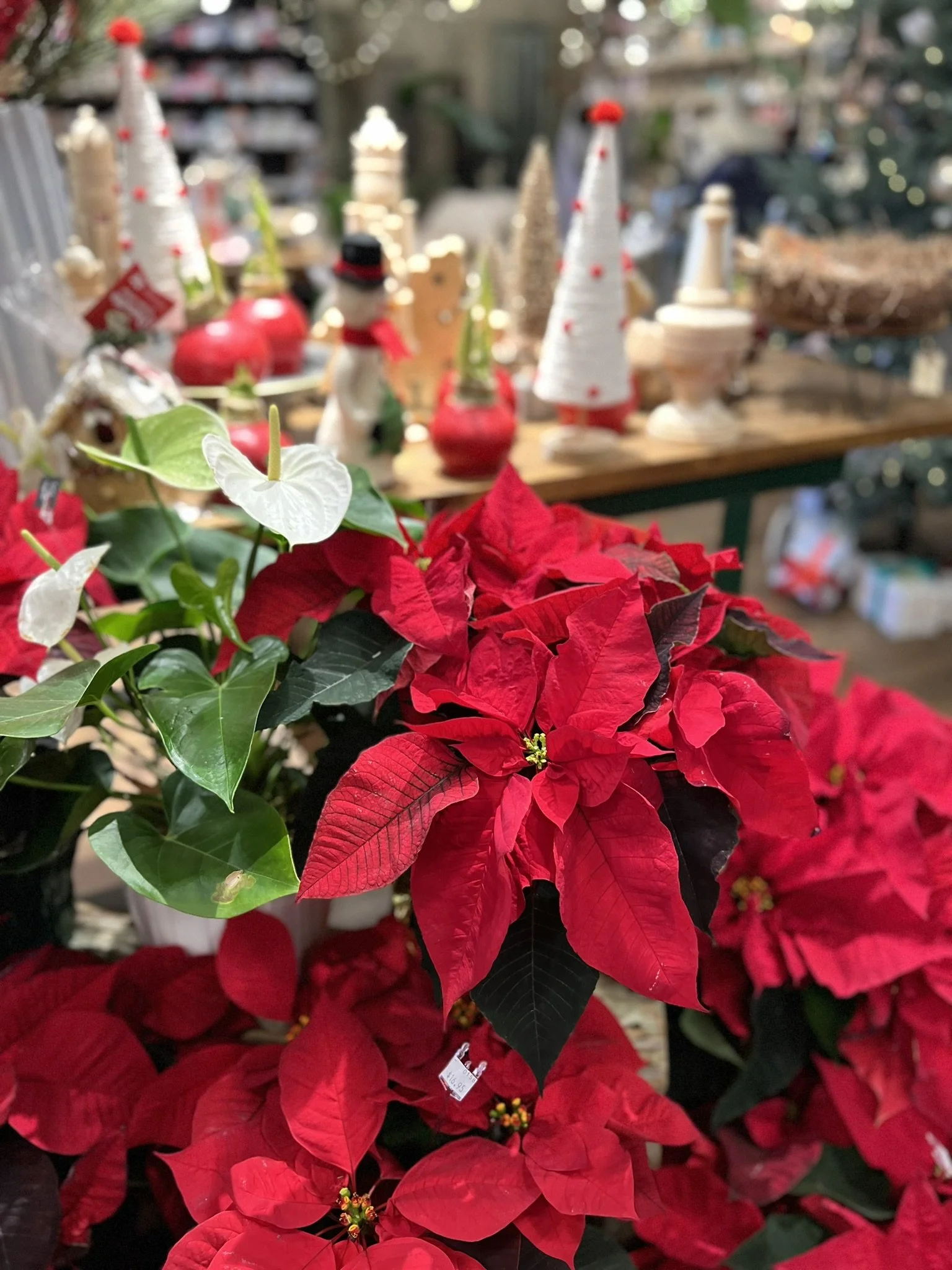 Merry Market