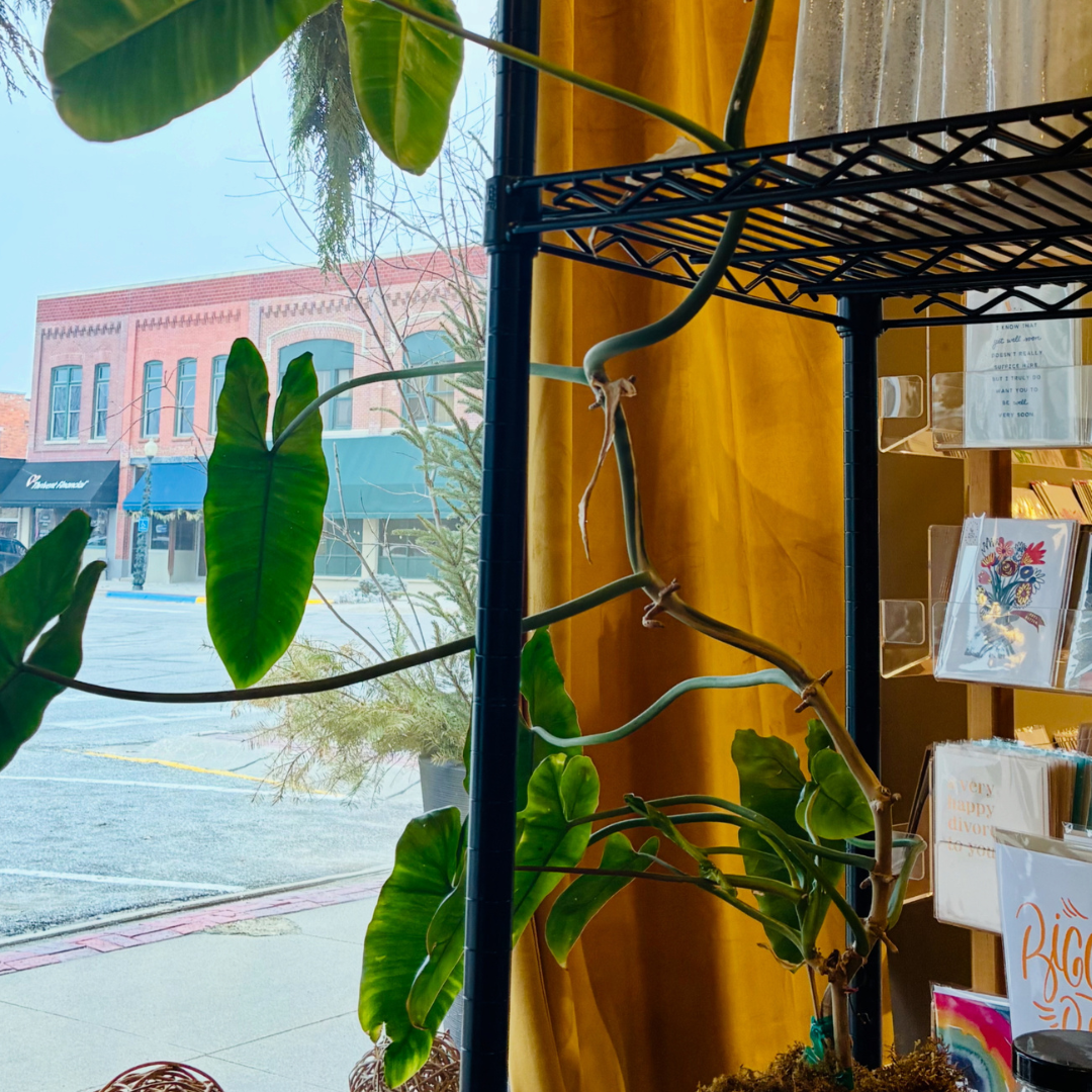 F + F Plant Propagation Swap