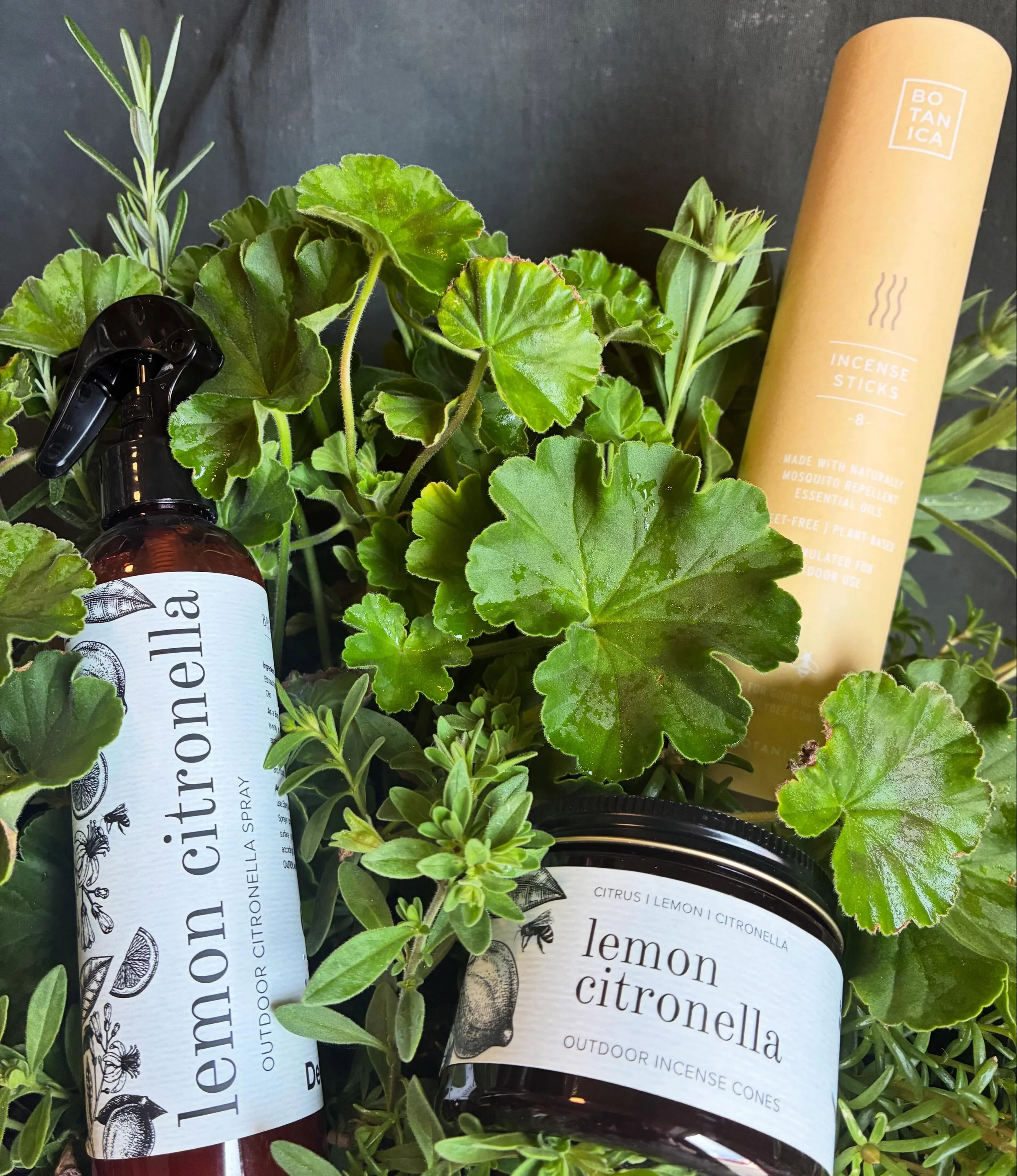 Mosquitoes are NOT on the guest list.🙅🏽&zwj;♀️

Keep these summer essentials on hand for all your outdoor summer get-togethers.☀️

They smell SO good, but the bugs disagree.😉

Open today, 9am-5pm✨