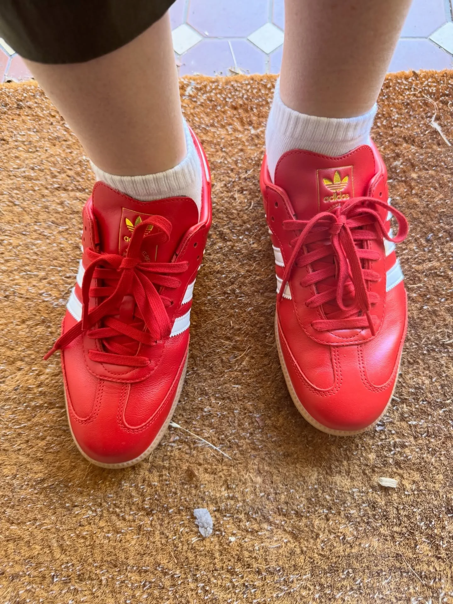 These shoes were made for doorknocking ✊ and that&rsquo;s just what they&rsquo;ll do.

One of these days these shoes are gunna doorknock right to you!

I&rsquo;ve been visiting homes across the 16 suburbs of Badcoe. If you&rsquo;d like me to pop in t