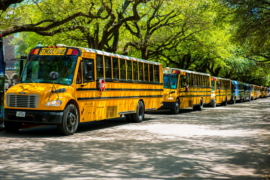 SchoolBus.jpg