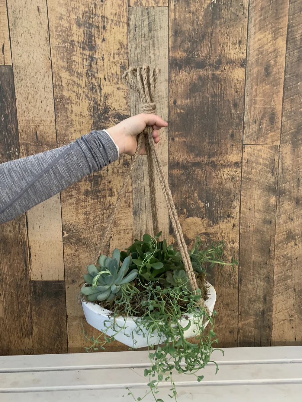 Hanging Succulent Planter  Divine Creations