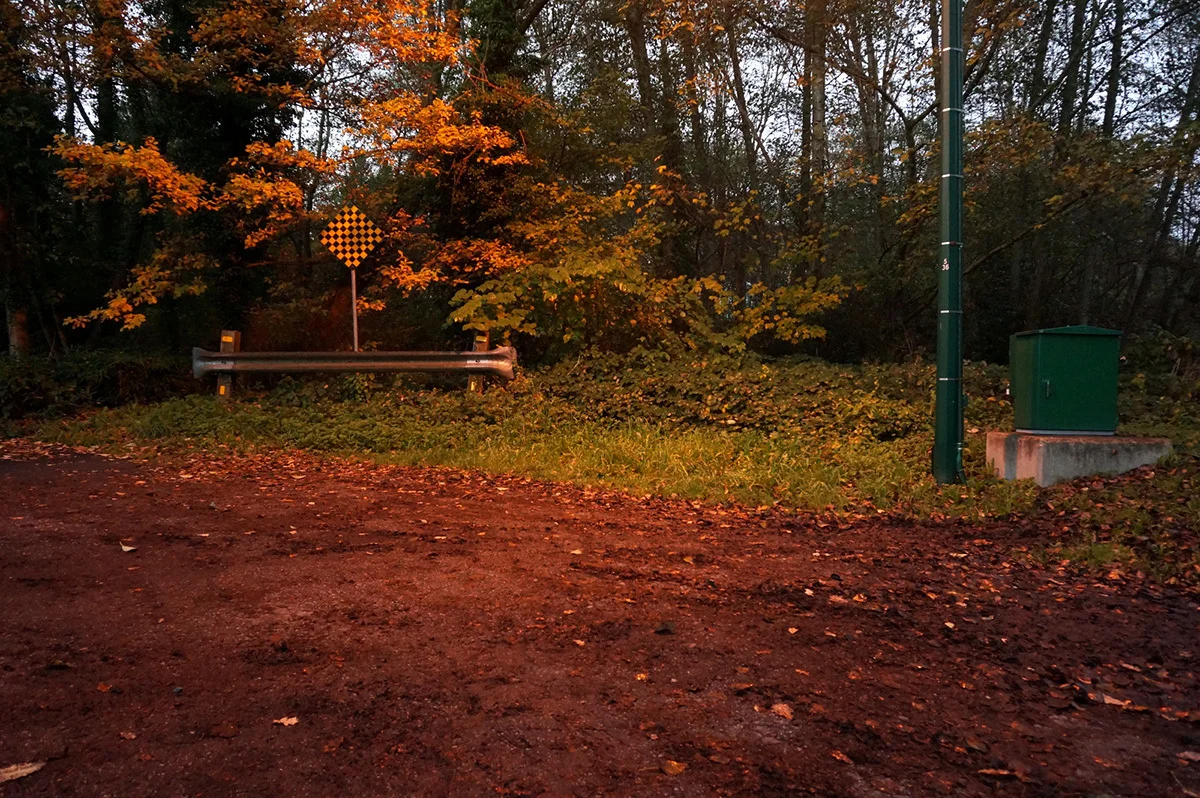 Coyote Walk , 2014, performance. Photo: Chris Huggins, participant, Vancouver