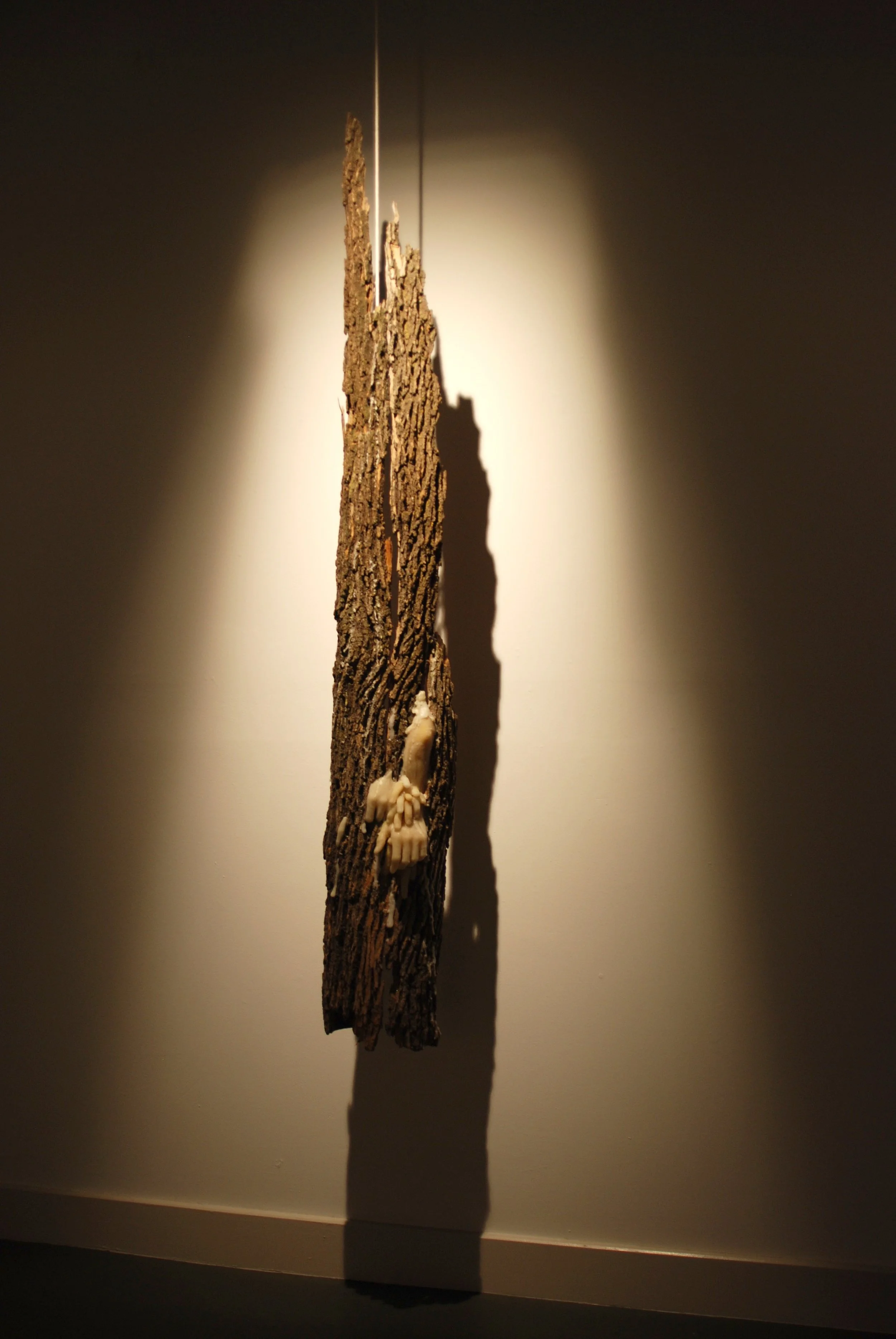 Sheri Nault, Entangled Bodies (4), bark, wax, canvas, 2017. Photo courtesy of the artist.
