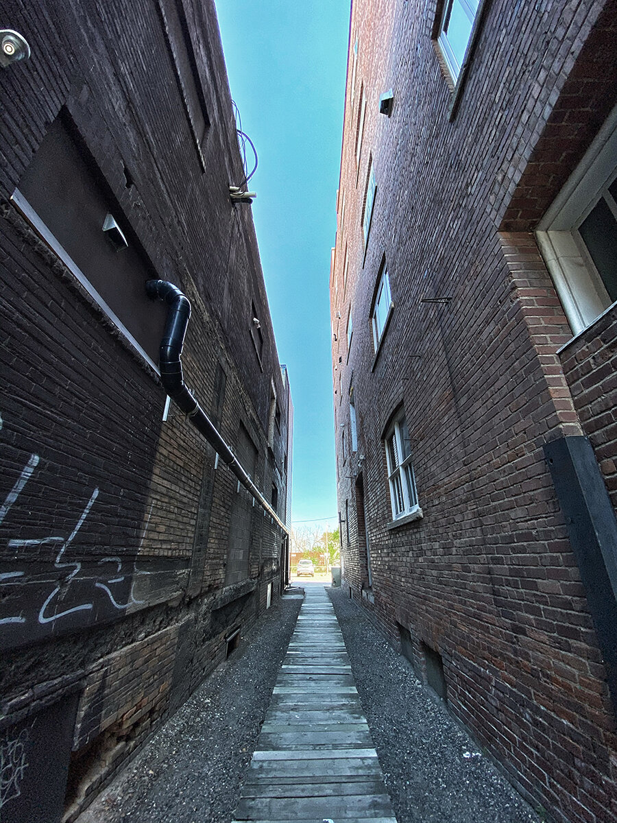  Elizabeth Hill,  Dewdney Alleyway , 2020. 