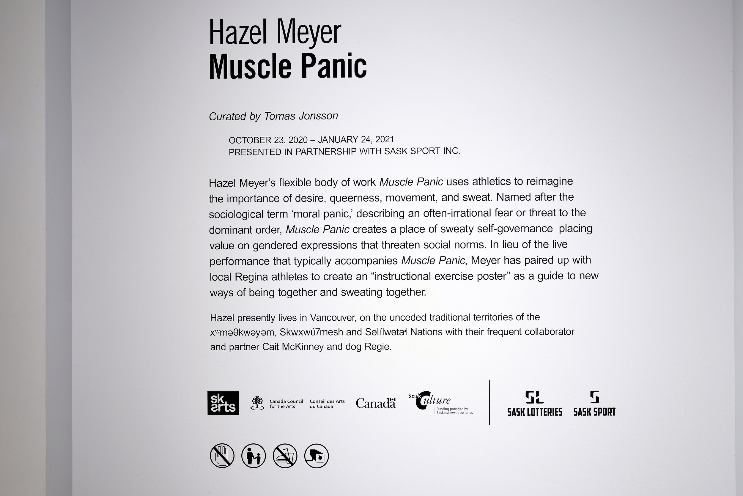  Hazel Meyer,  Muscle Panic , 2020. Installation view.  