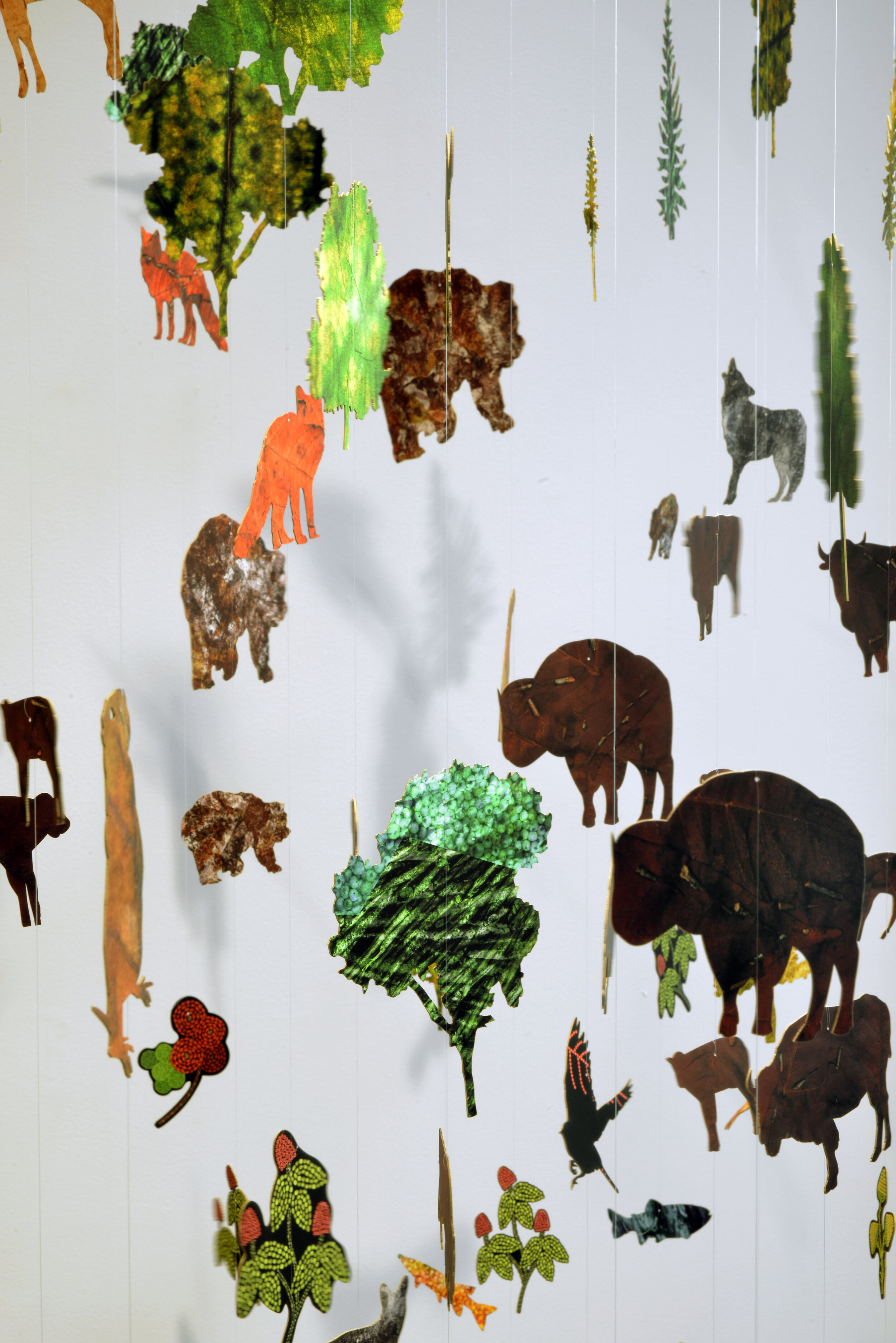  Daphne Boyer,  Layr, tayr, pi diloo, Air, Land and Water, Air, terre et eau : installation suspendue (detail),  2019, pigmented ink on Canson rag paper, nylon thread, forms laser-cut from artist’s archived plant-based works. 