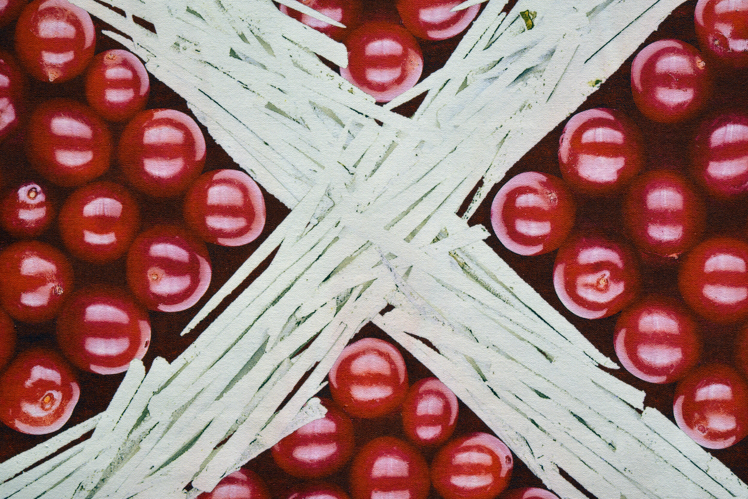  Daphne Boyer,  Li paviyoon di mawchee por lii Michif, Metis Hunting Flag, Drapeau de chasse métis (detail),  2019, staged and photographed cranberries and hawthorns, cotton duck printed with reactive dyes.   