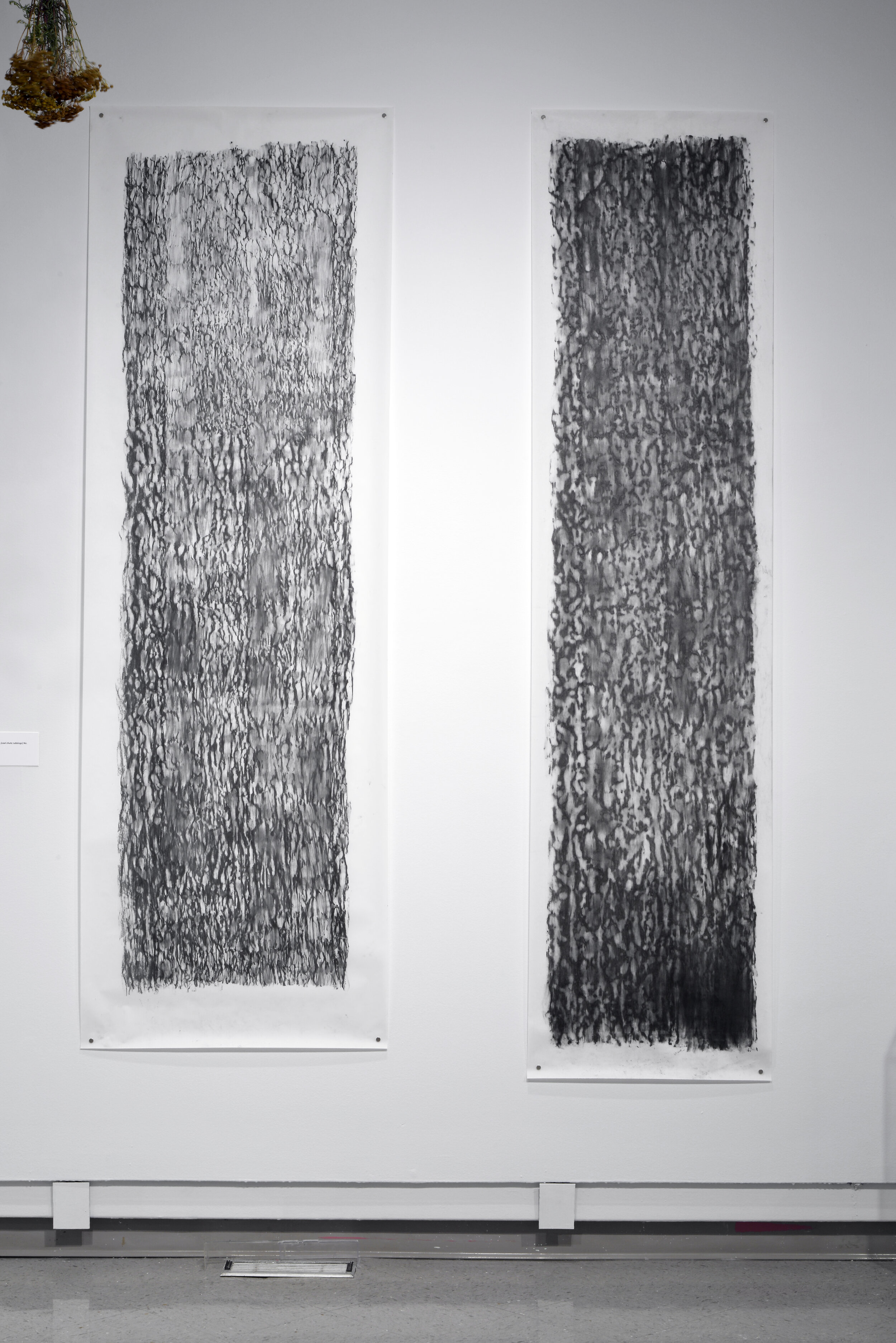  Alana Bartol,  To Dig Holes and Pierce Mountains (coal chute rubbings),  2020, charcoal on vellum. 
