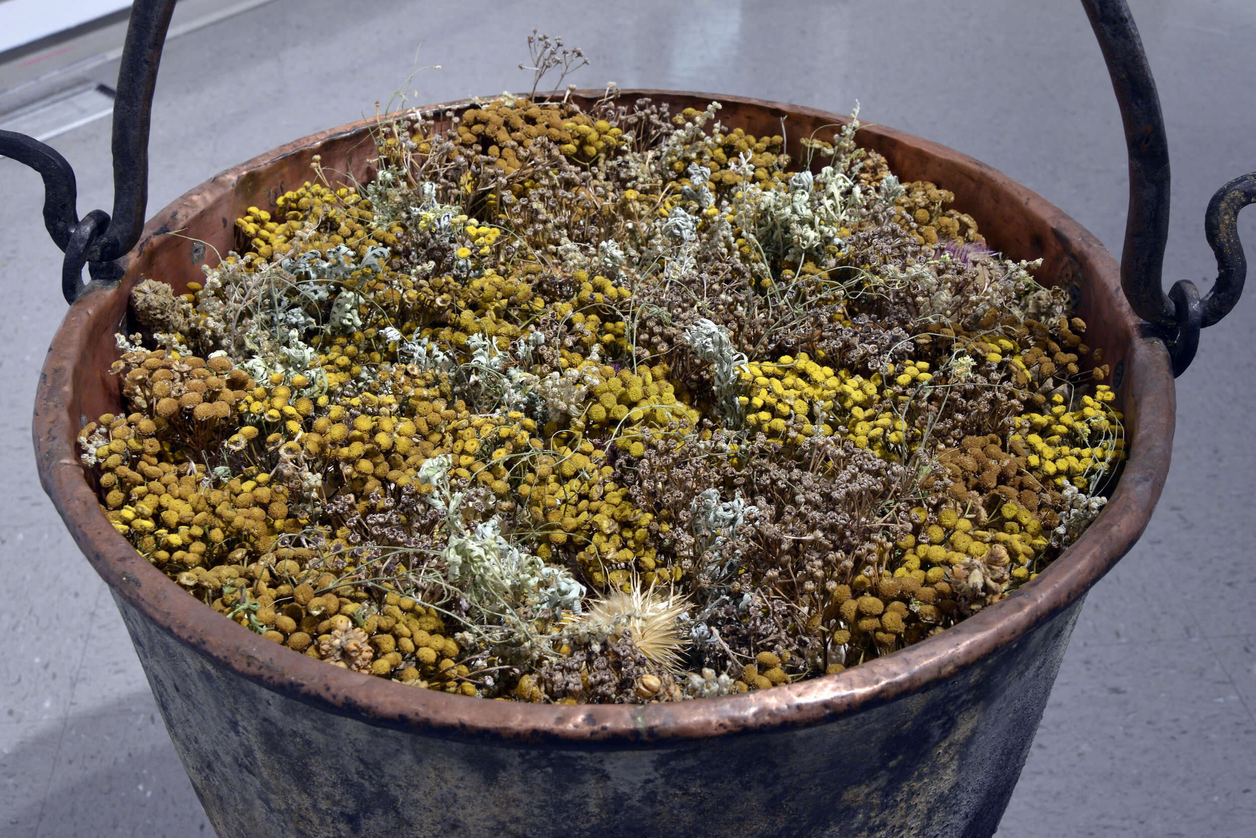  Alana Bartol,  Rotten Pot (detail),  2020, used 19th c. copper and forged iron cauldron from France, coal, rocks, dried plants: wormwood, tansy, and sweet clover. 