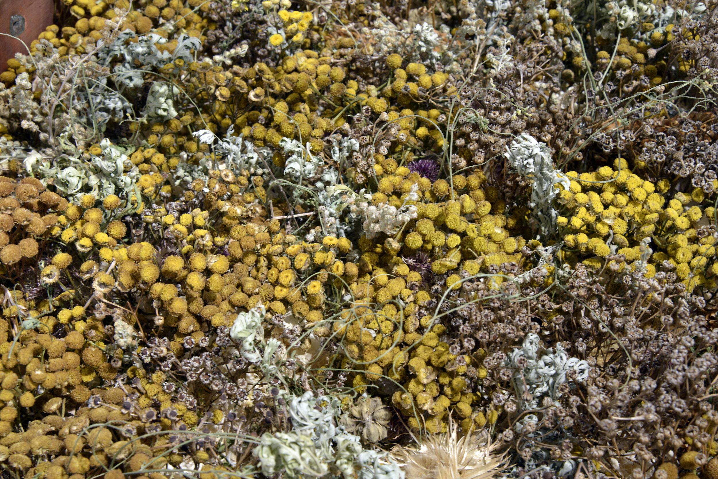  Alana Bartol,  Rotten Pot (detail) , 2020, used 19th c. copper and forged iron cauldron from France, coal, rocks, dried plants: wormwood, tansy, and sweet clover. 