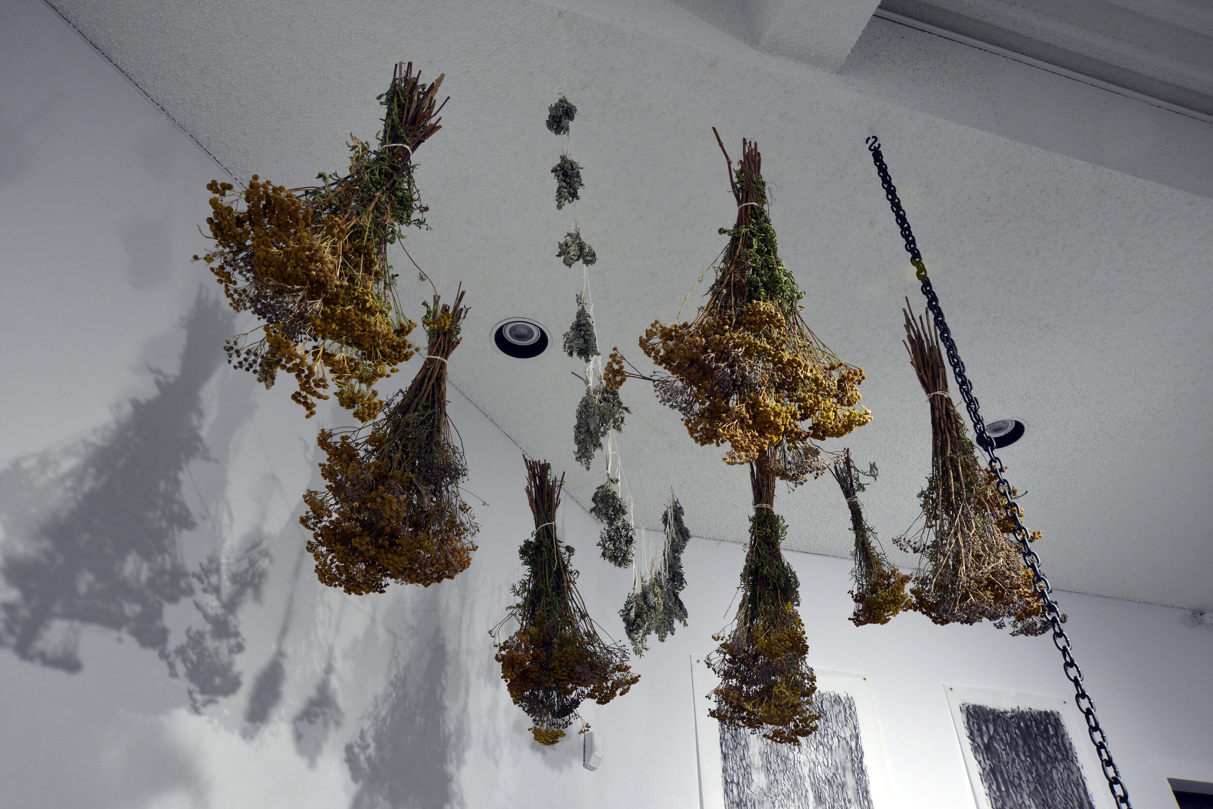  Alana Bartol,  Rotten Pot (detail) , 2020, used 19th c. copper and forged iron cauldron from France, coal, rocks, dried plants: wormwood, tansy, and sweet clover. 