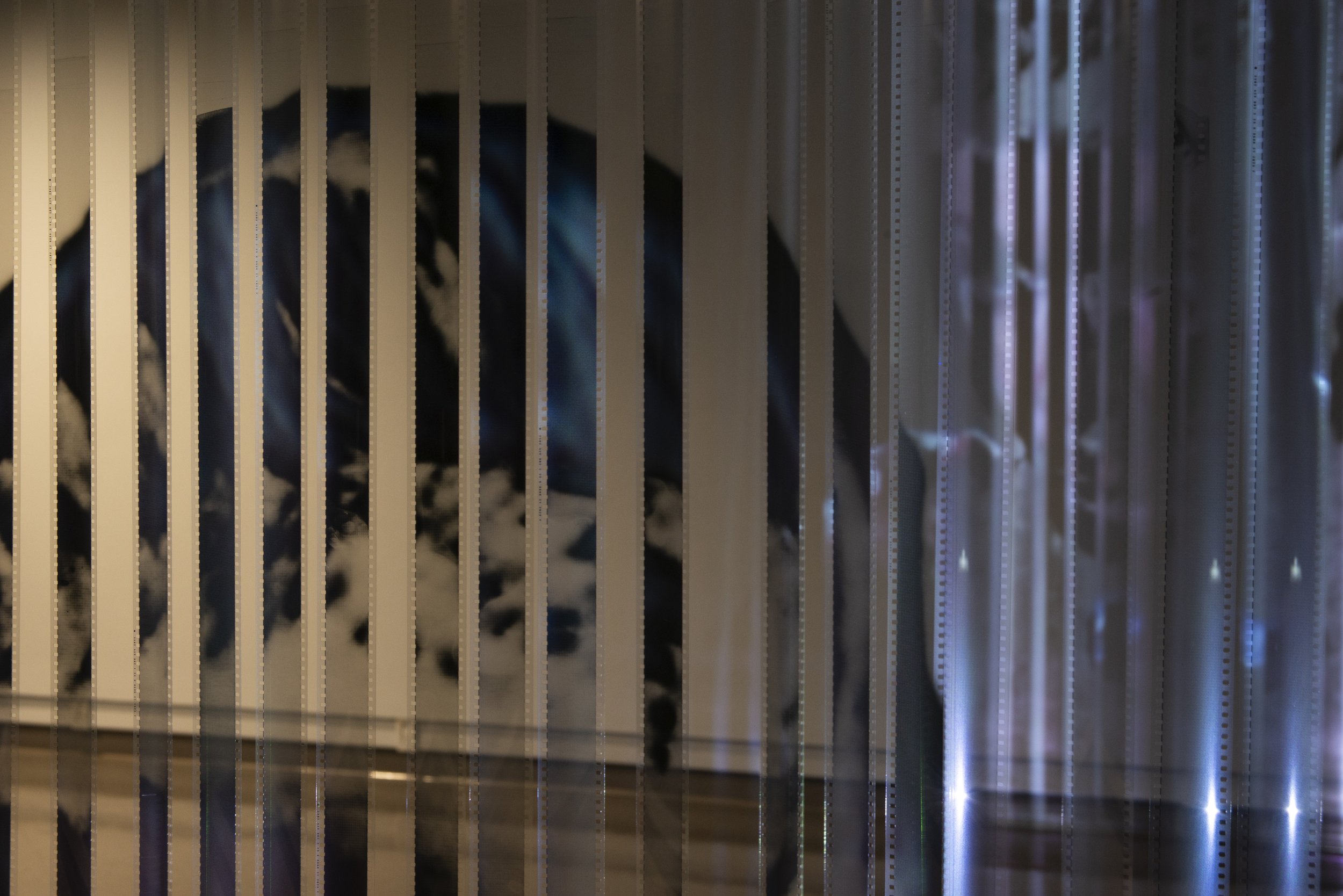   Trapped , detail, 2023, 35 mm film installation and projection. 