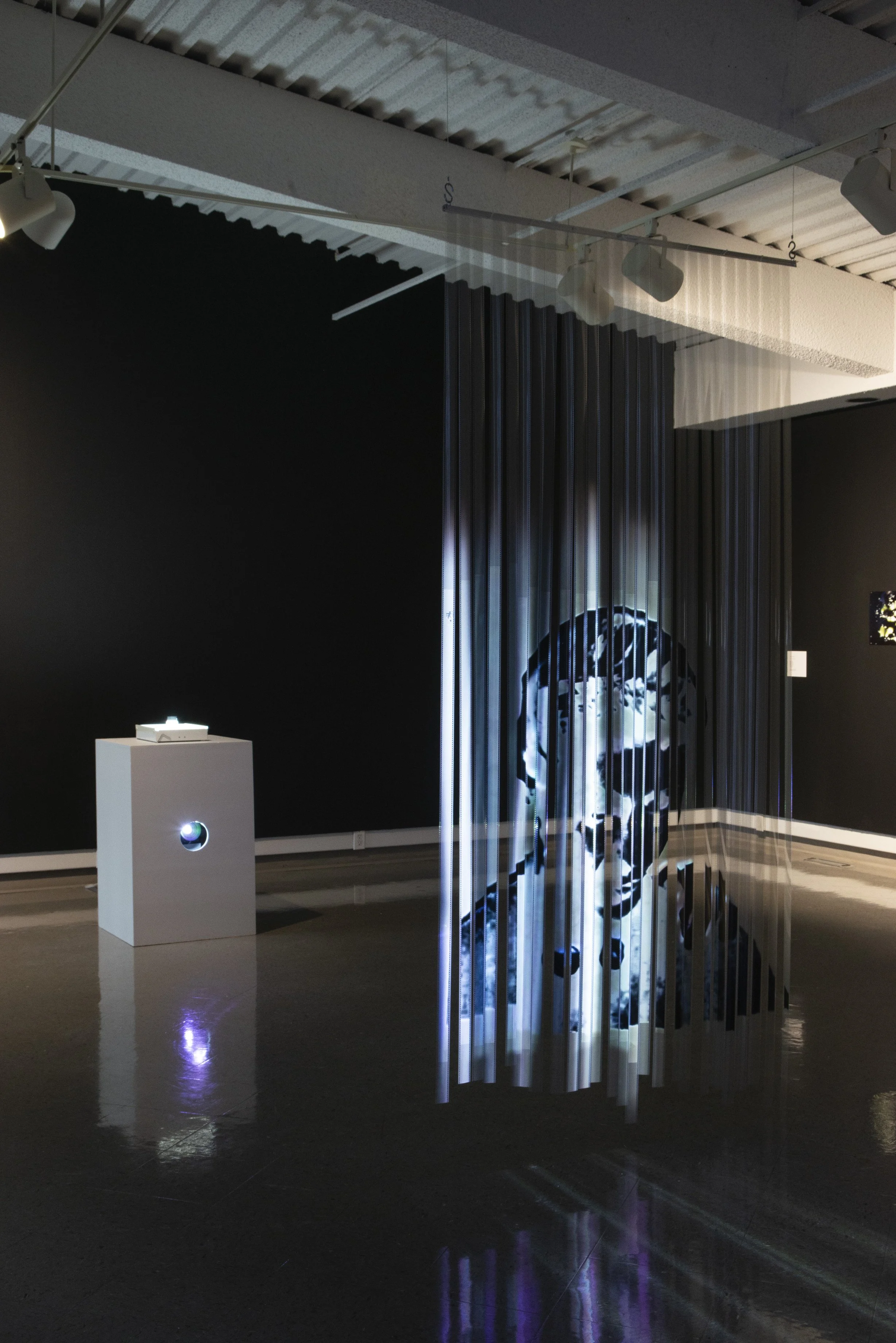 Trapped , 2023, 35 mm film installation and projection.