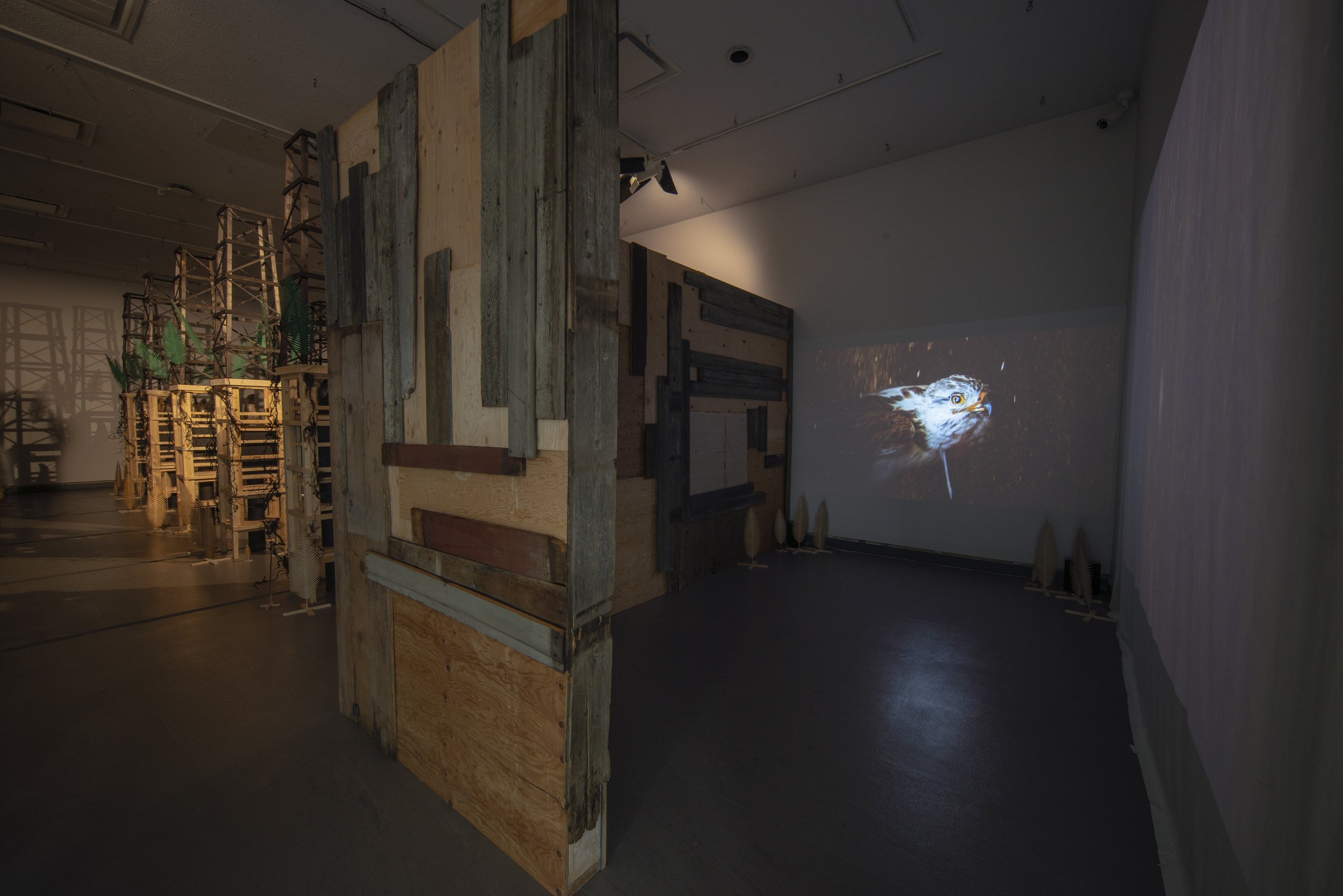  Installation view 