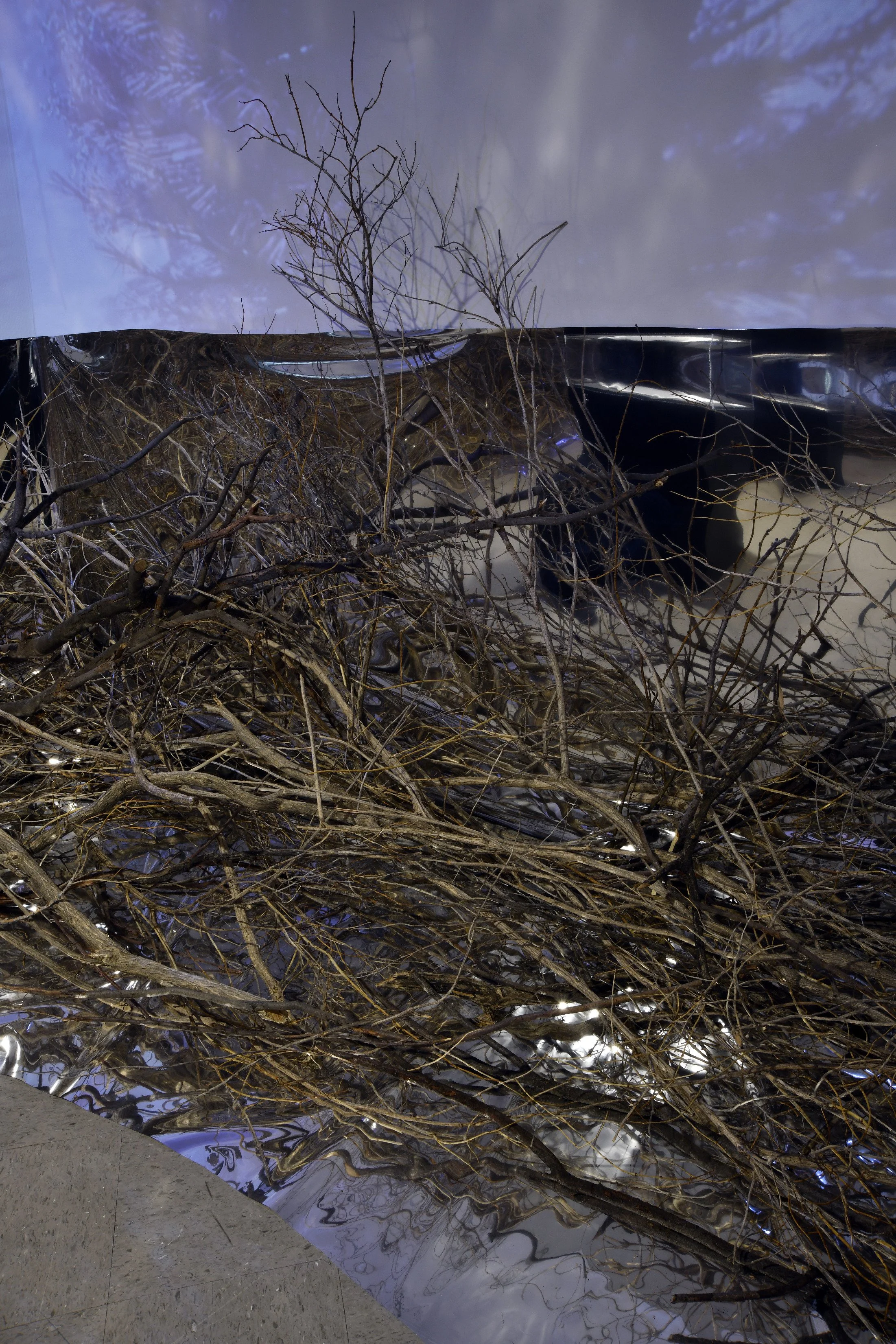   They have always been here  (detail) ,      2026, multi-channel video projection. 