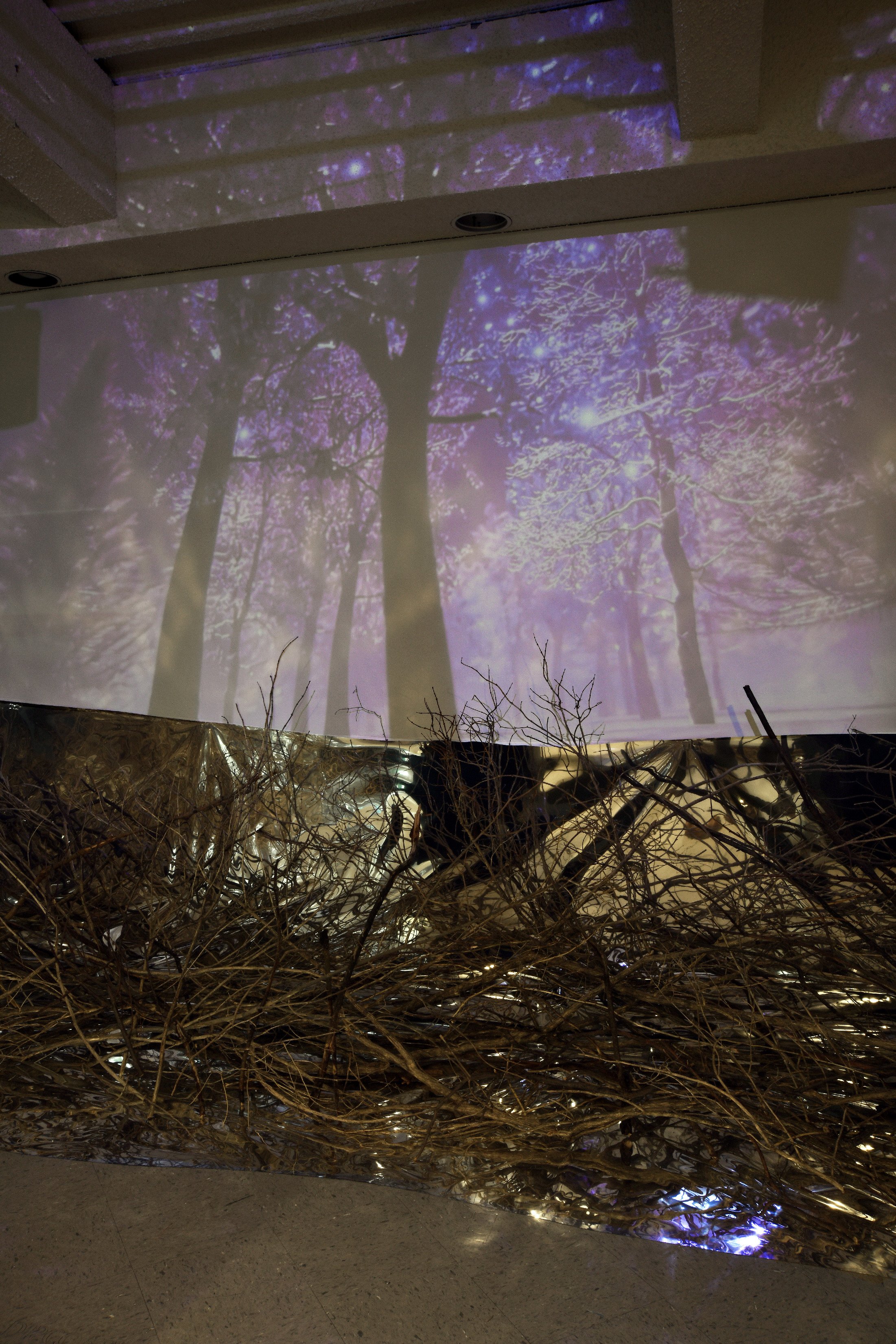   They have always been here  (detail) ,      2026, multi-channel video projection. 