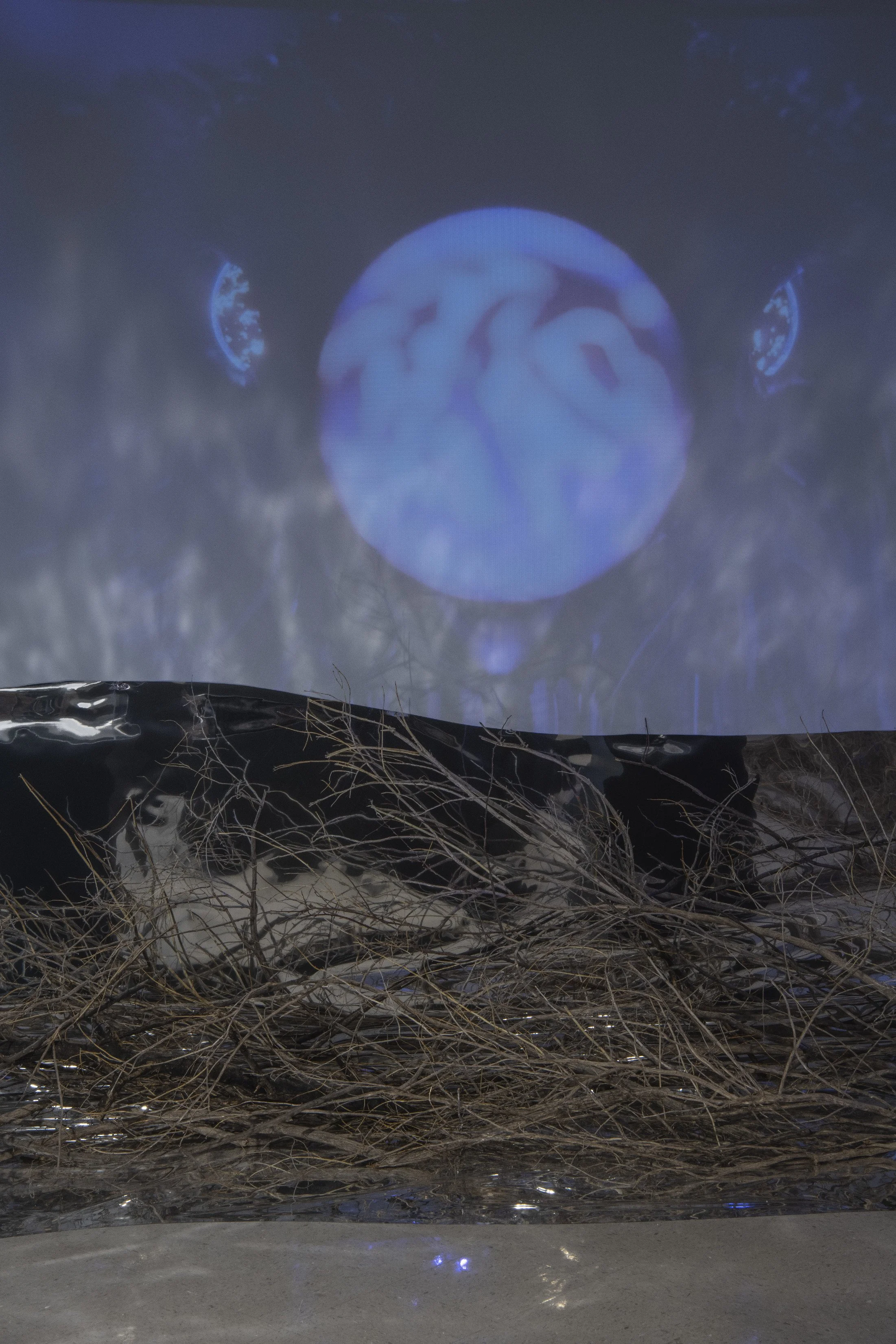   They have always been here  (detail) ,      2026, multi-channel video projection. 