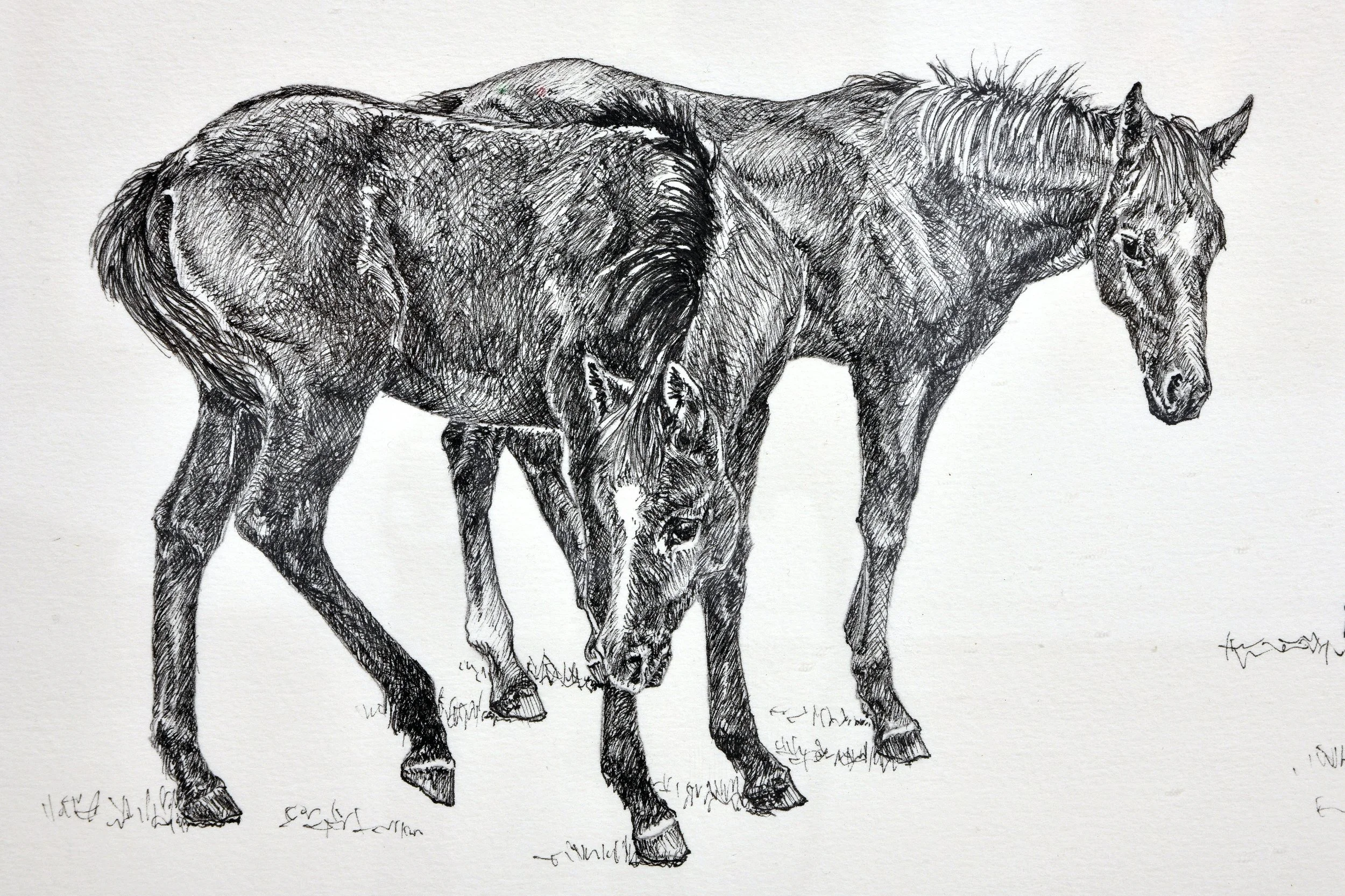   Lost Boys: North Fork  (detail), 2014, ink on paper. 