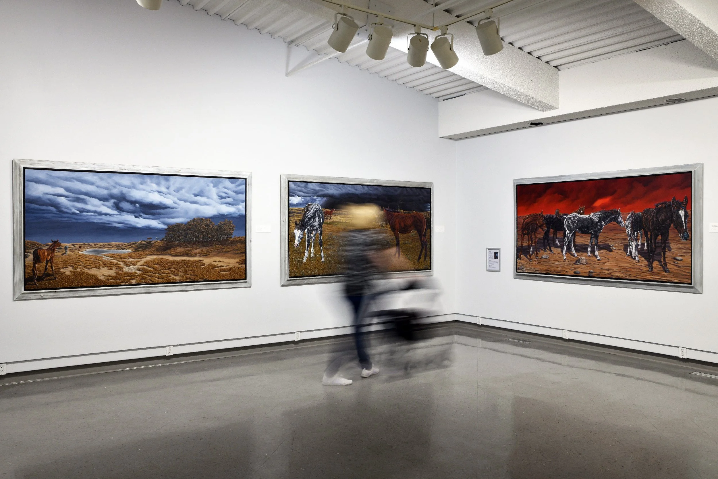  Installation view 