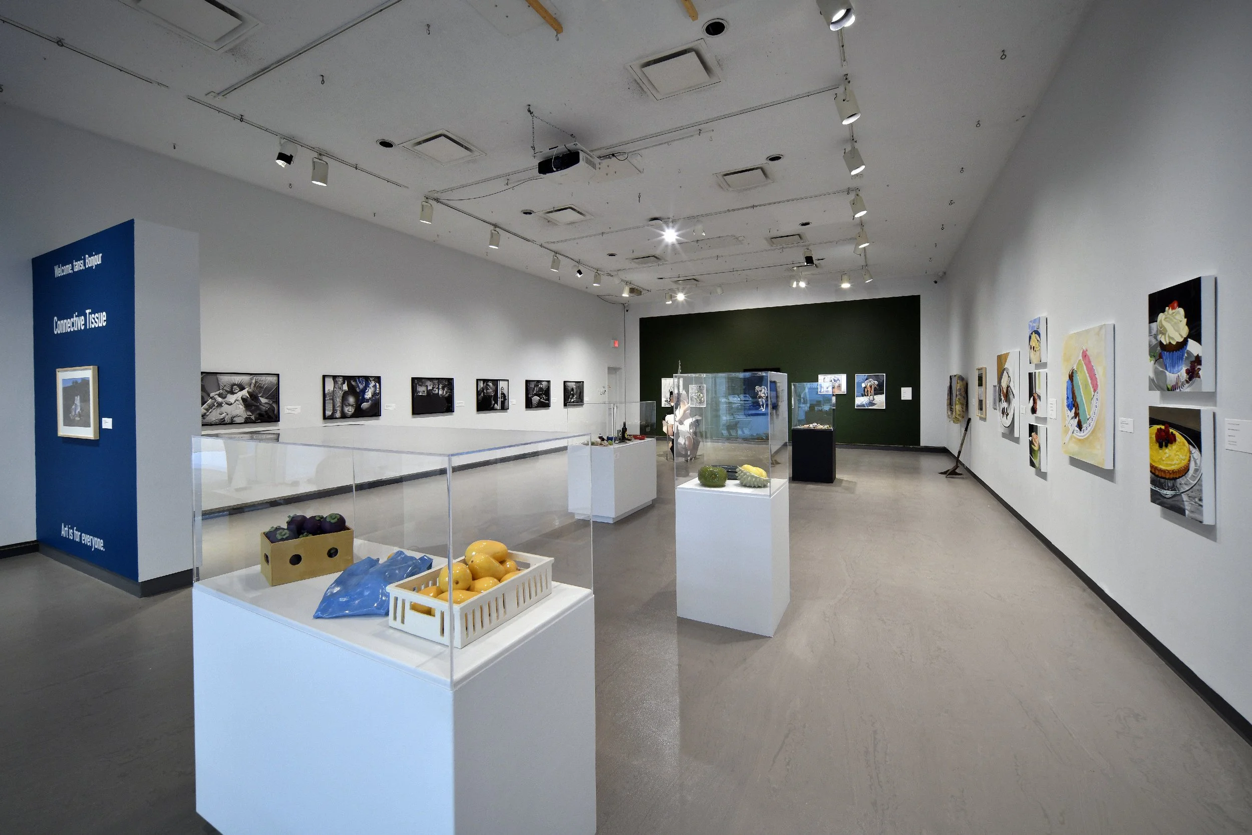  Installation view 