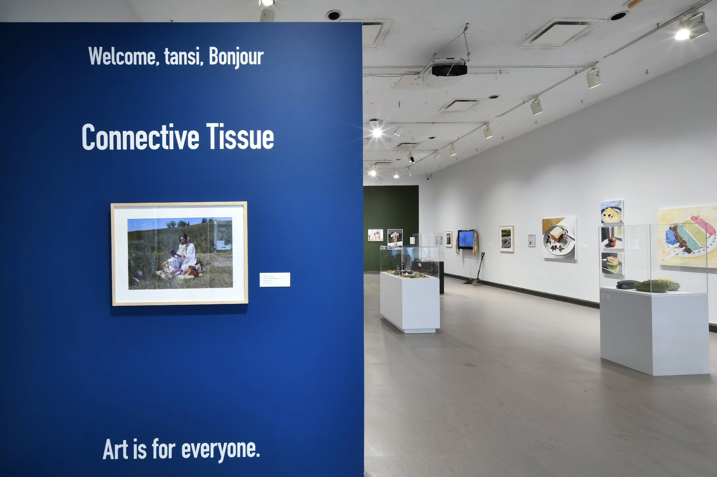 Installation view 