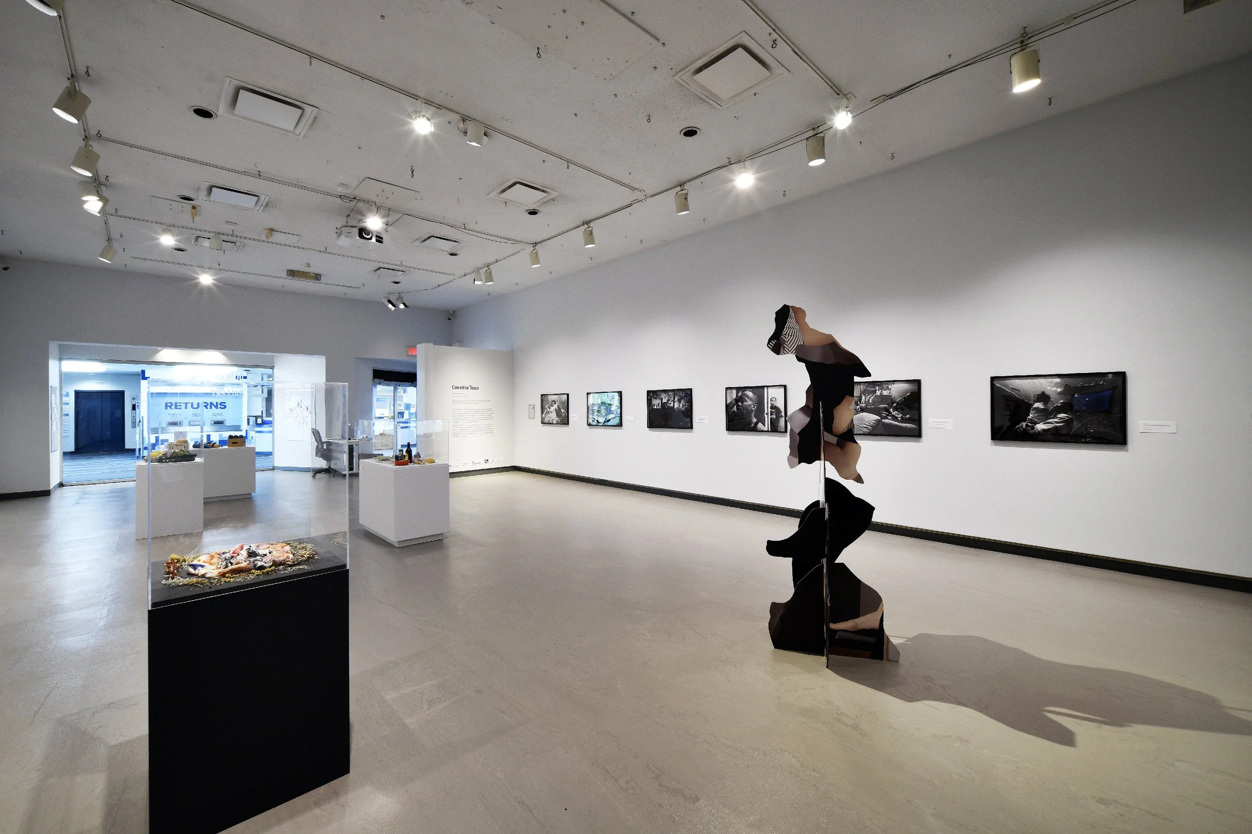  Installation view 