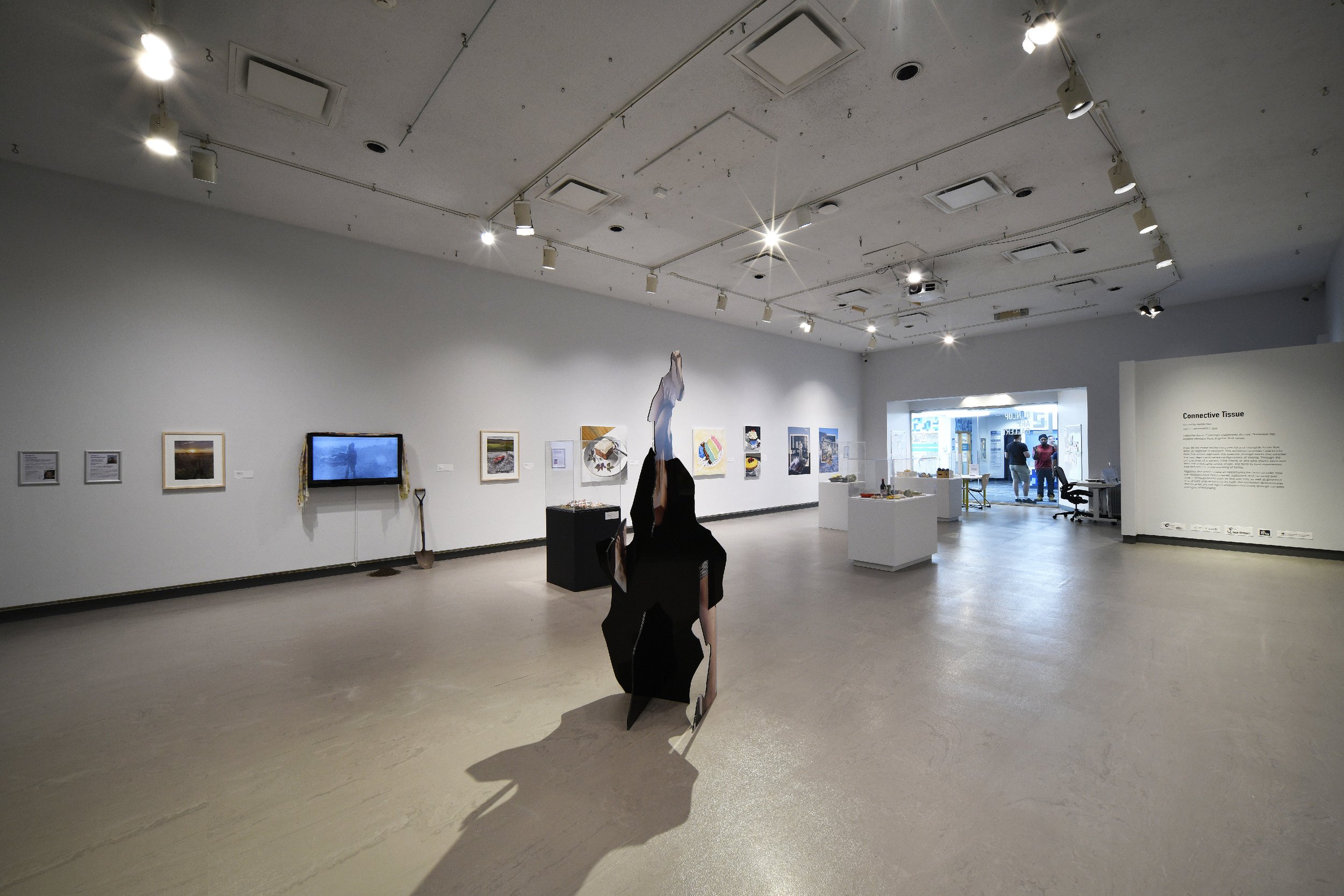  Installation view 