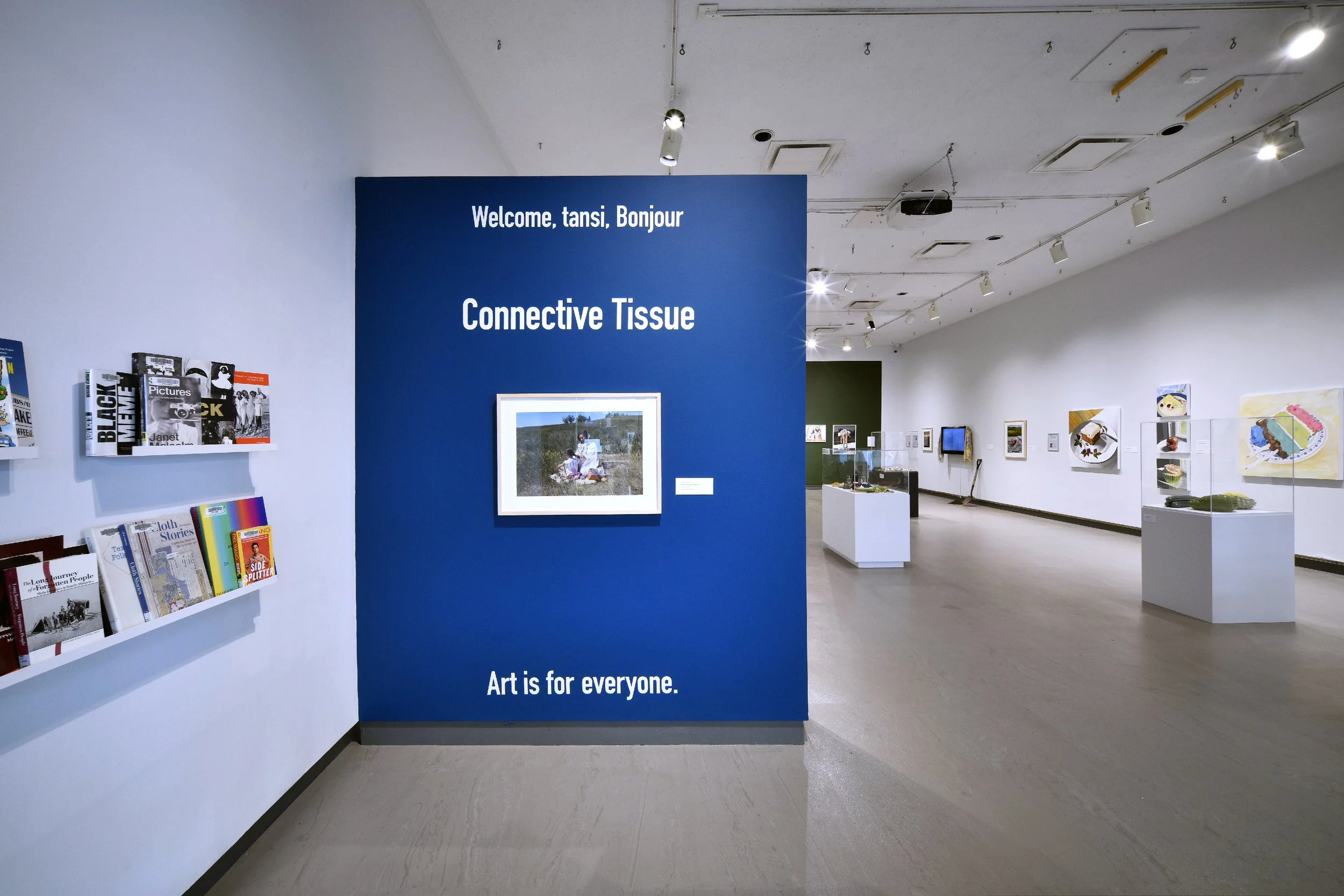  Installation view 