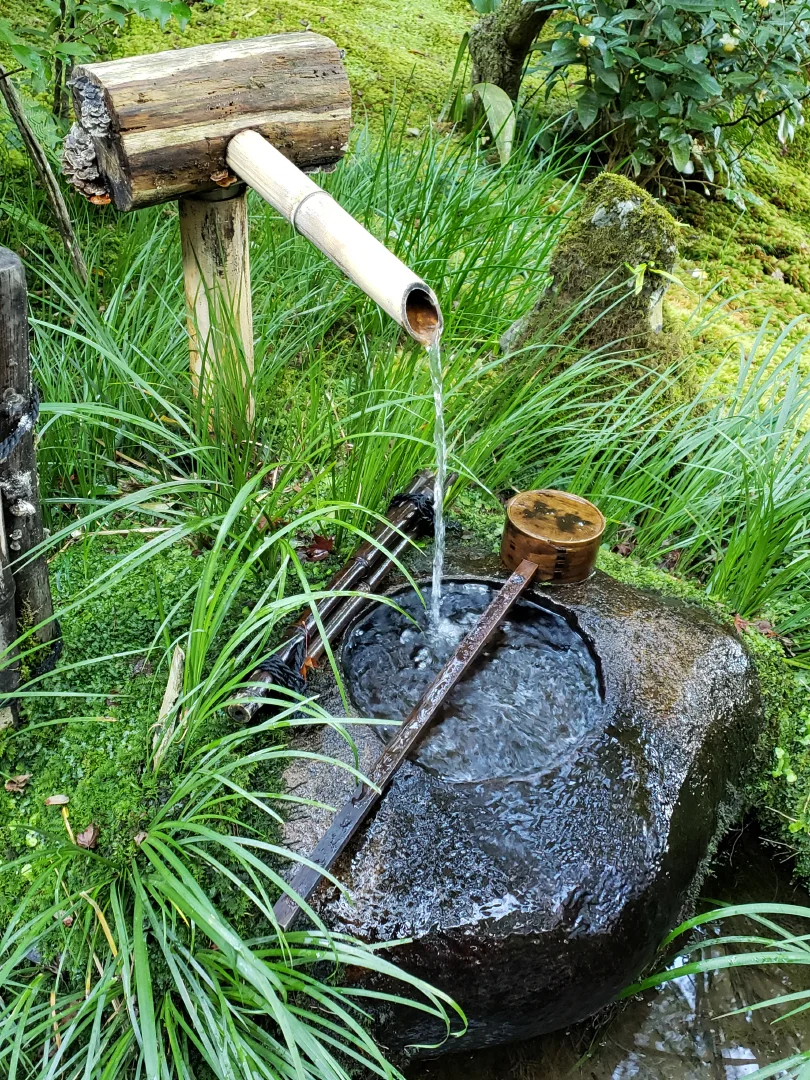KateDernocoeur-SoloInArashiyama.jpg