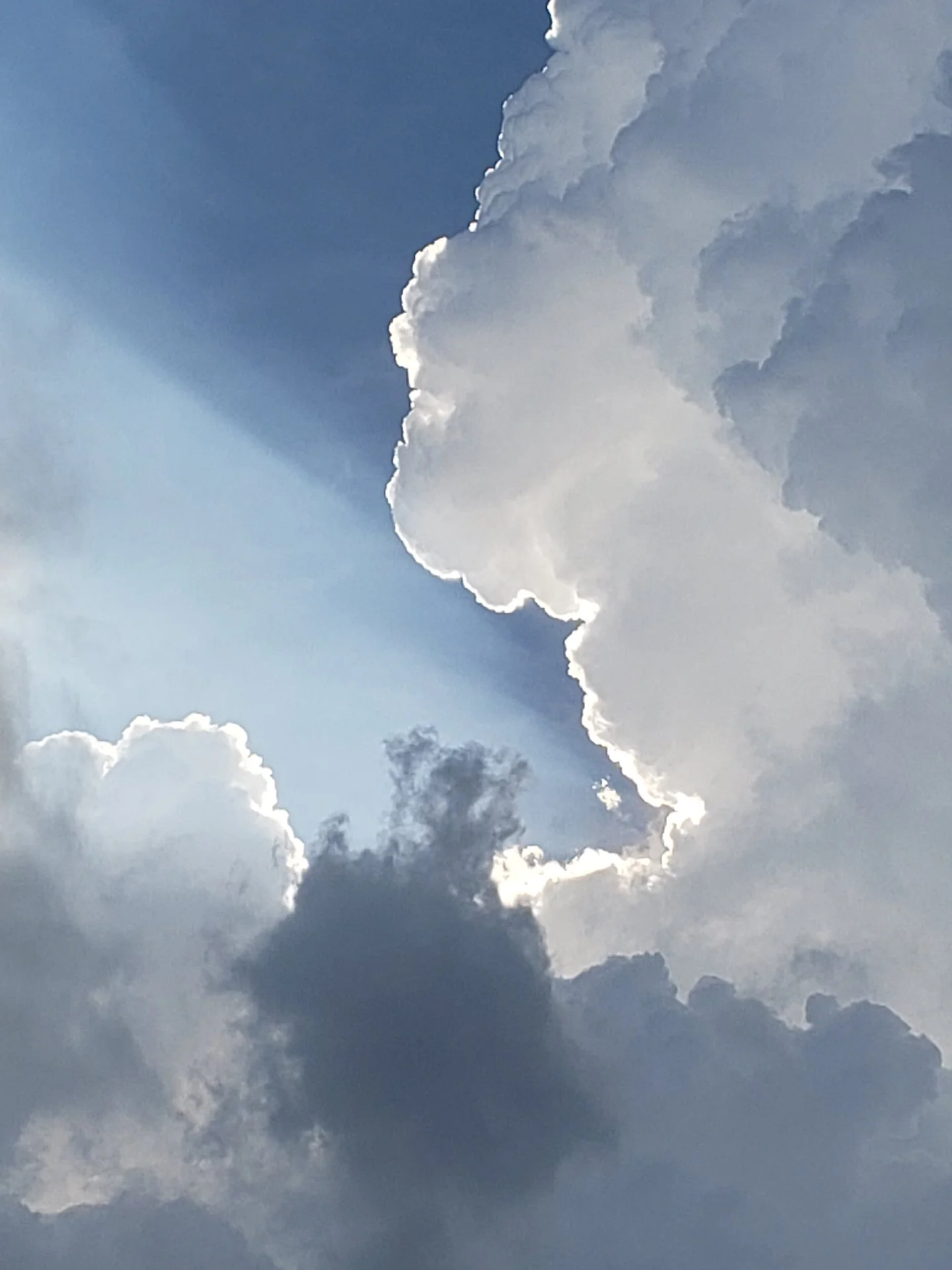 Look To The Sky
