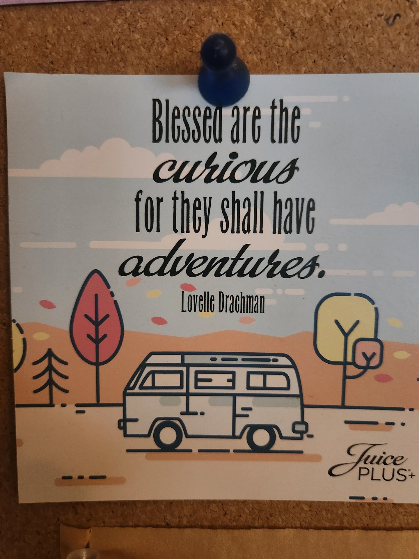 Kate Dernocoeur Ebb & Flow of Routine